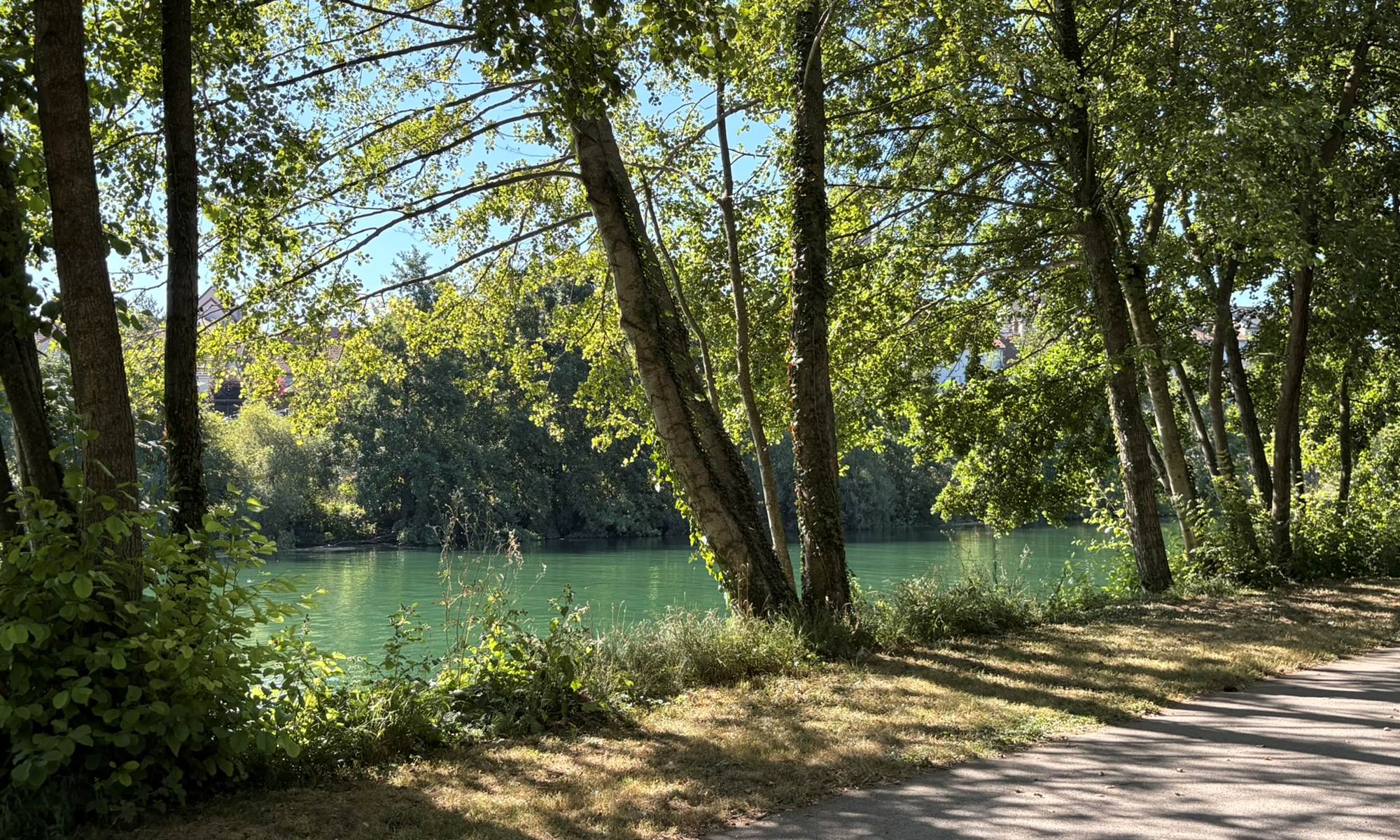 IMG_5571