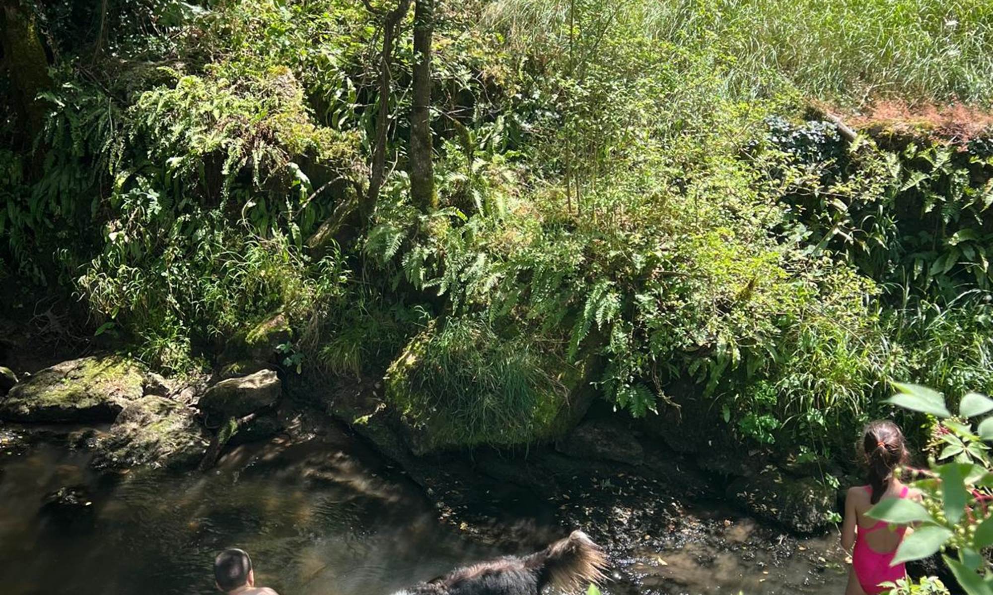 Jeux dans l'eau!-galerie