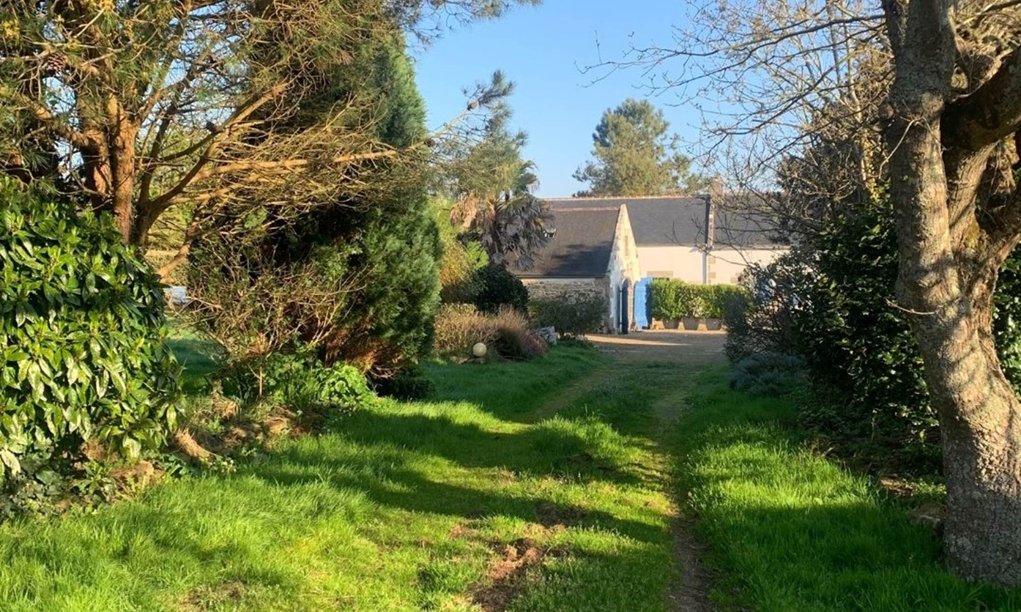 gîte de kergavan - jardin vers le gite