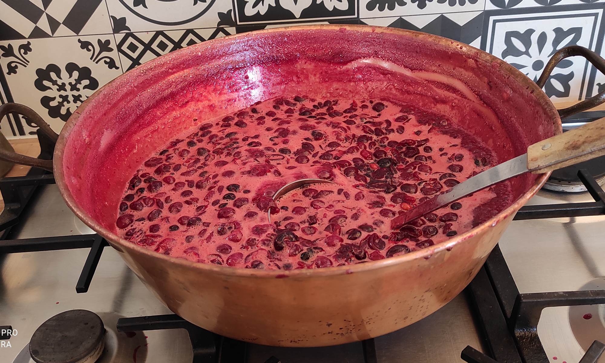 BRITAVIT Confiture de cerises du jardin (3)-page