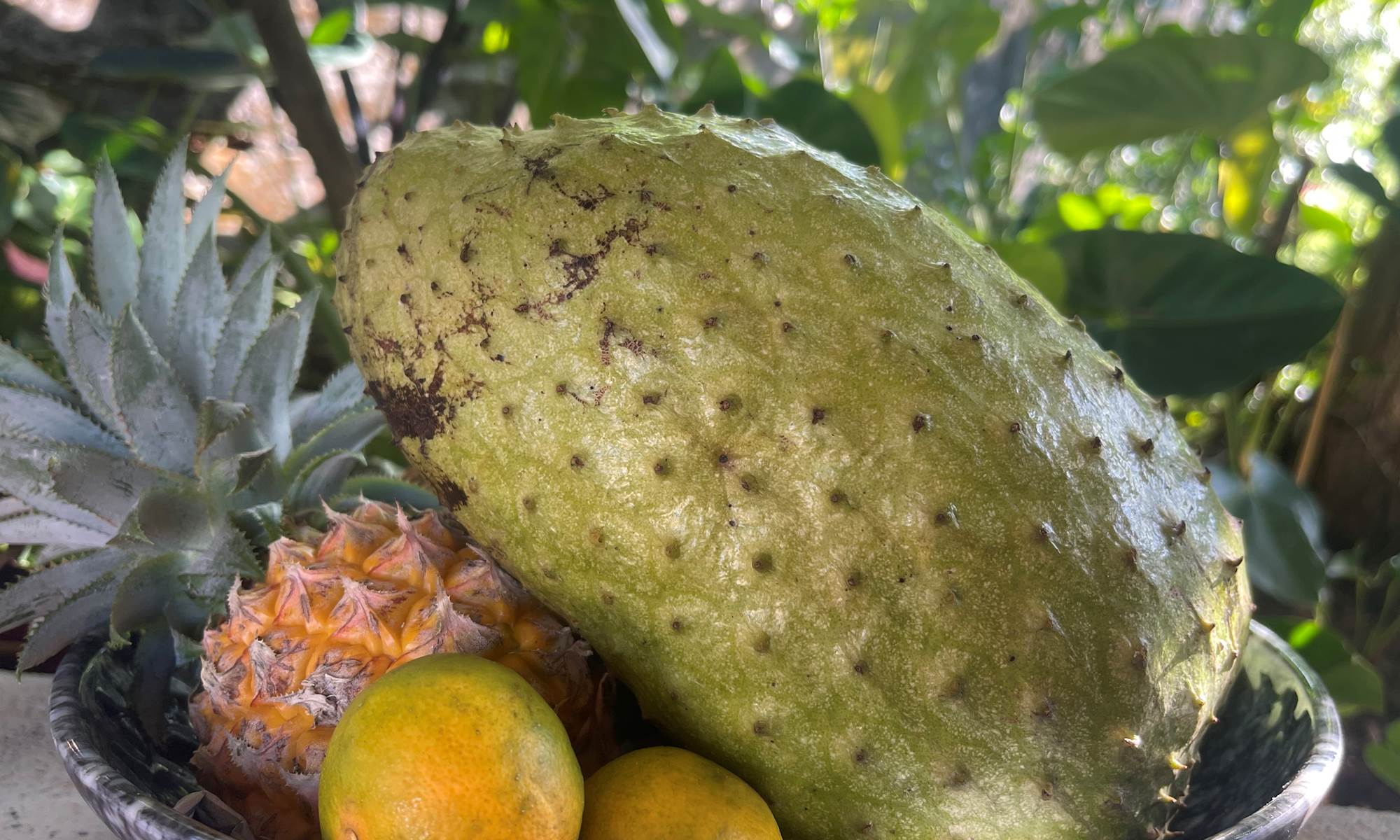 Petit déjeuner à base fruits frais du jardin-galerie