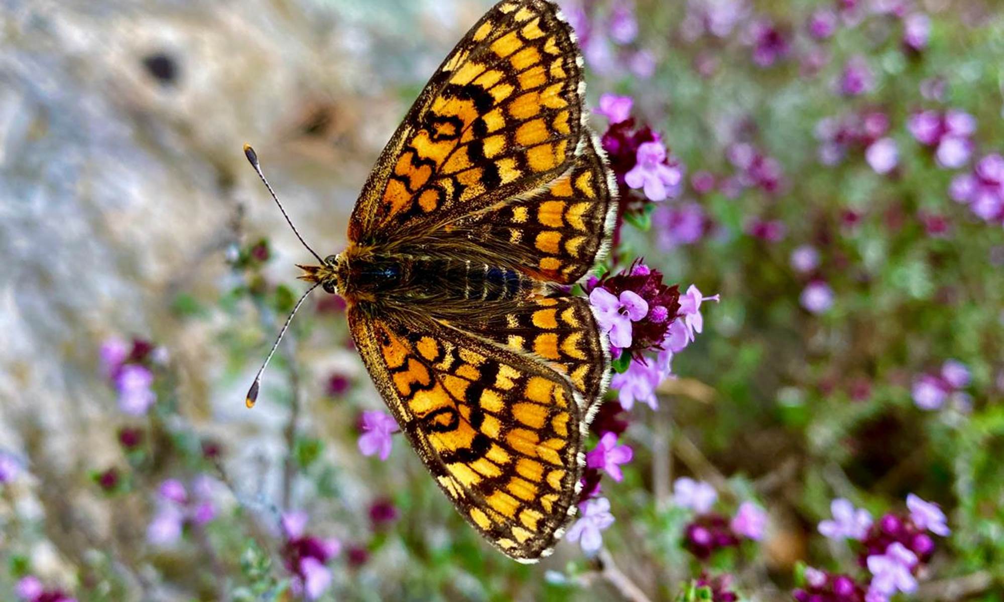 WhatsApp Image 2024-05-01 at 12.12.24 (3)-page