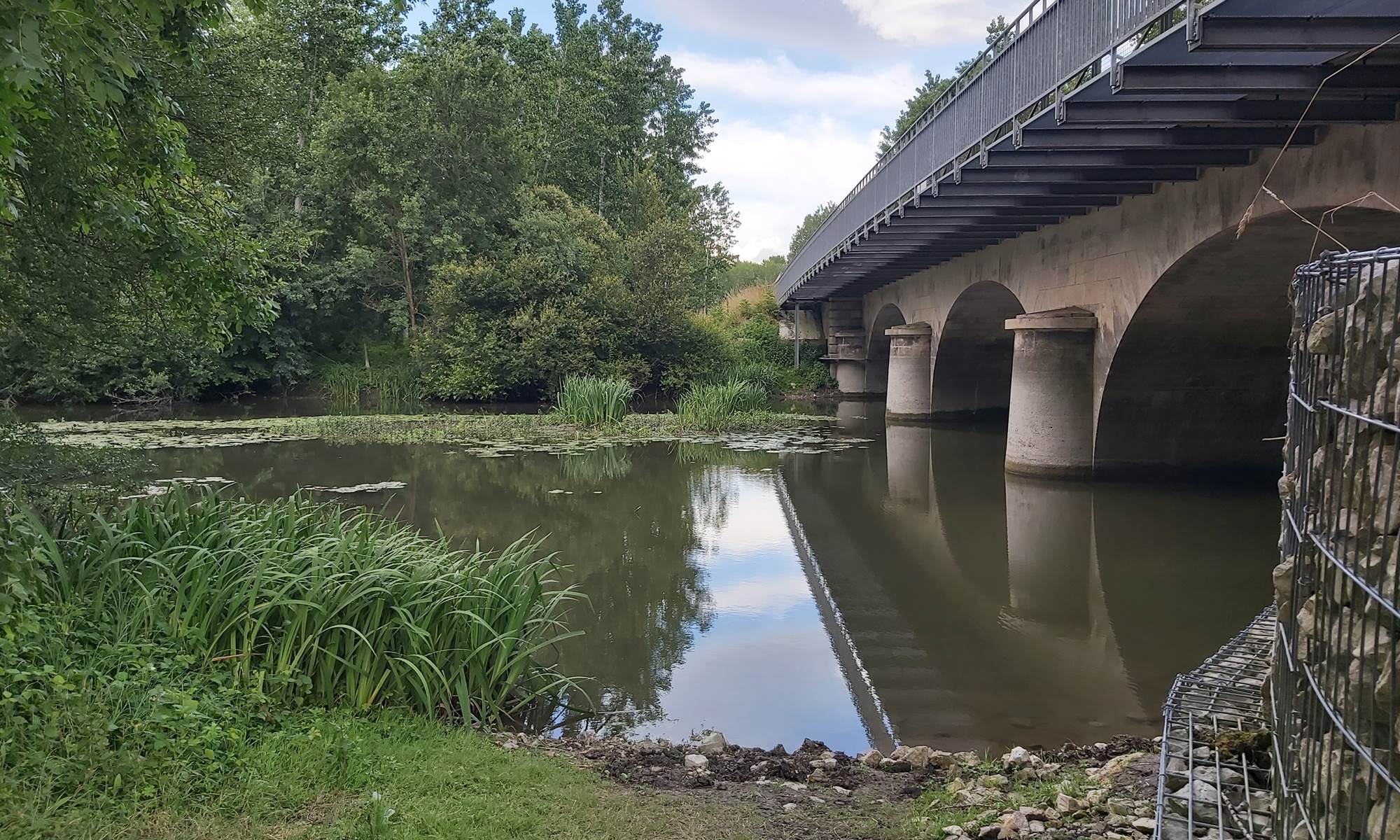 Le né Salignac sur Charente - Charente maritime-galerie