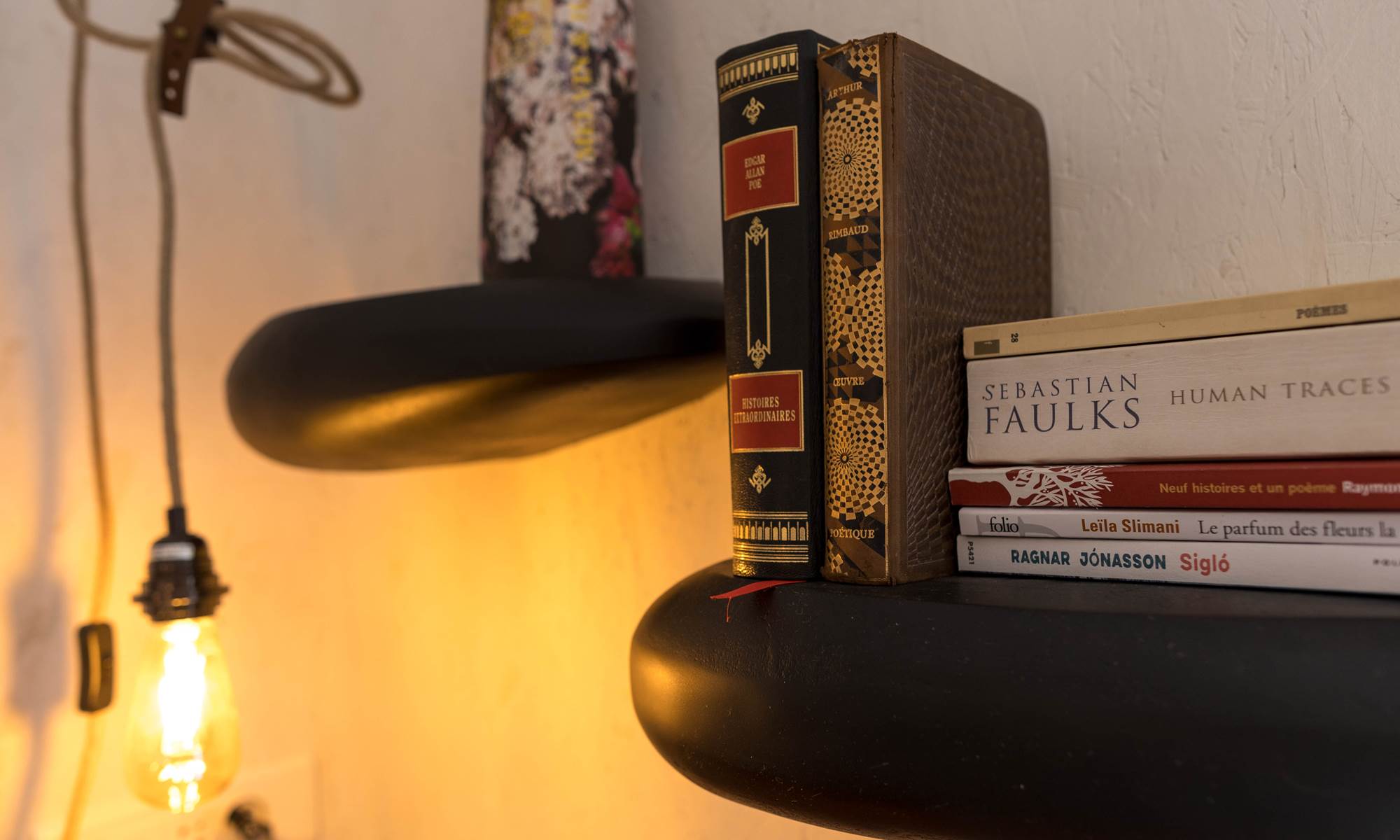 Quelques livres-galerie