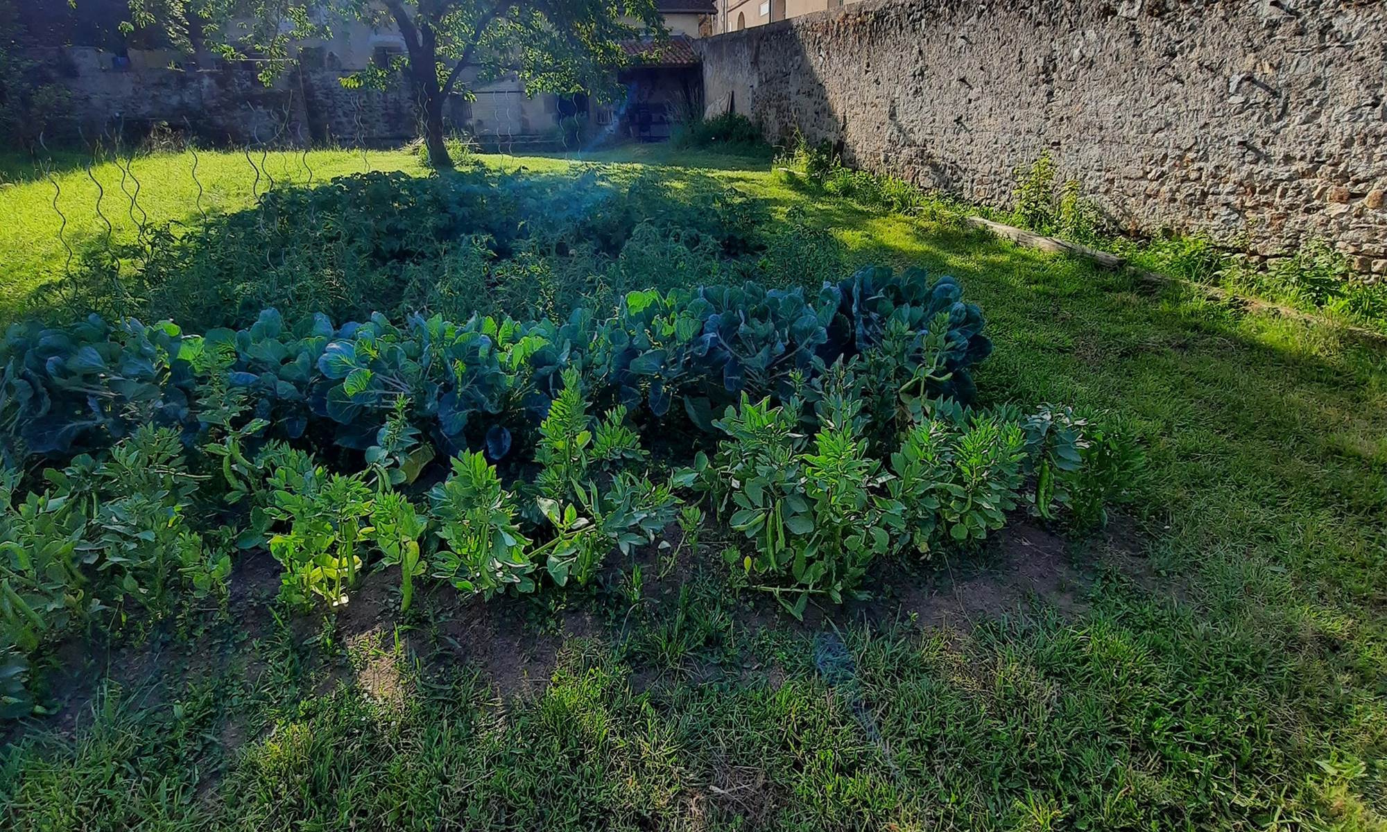 Le potager