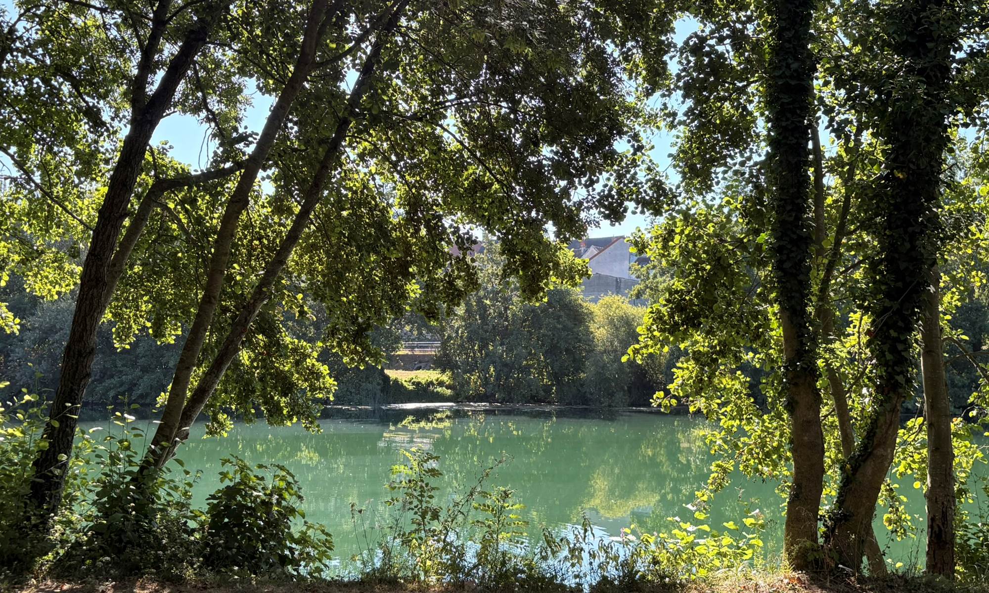 IMG_5510