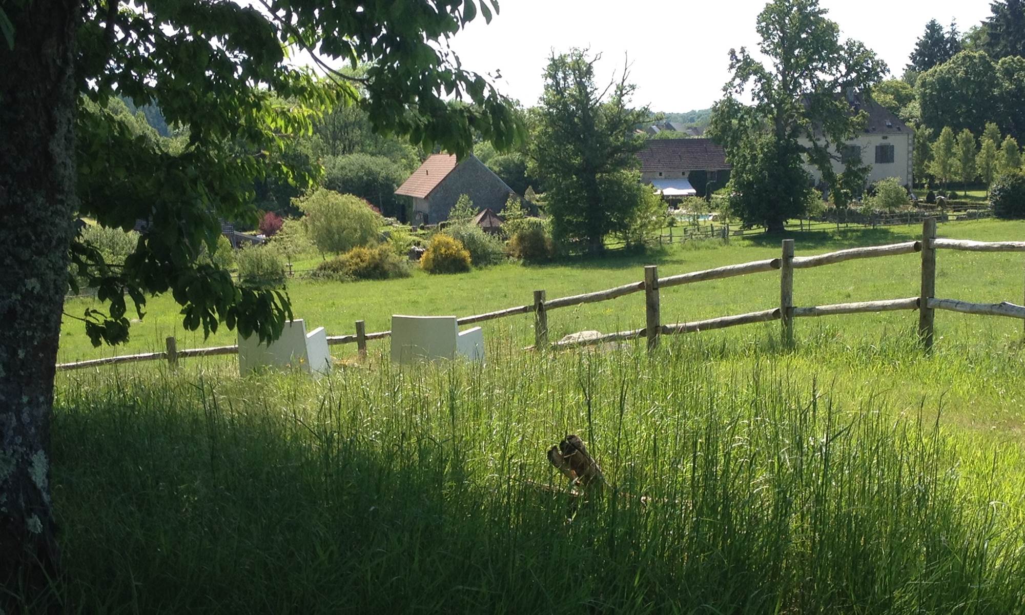 vue depuis le petit bois du Domaine de Louveraude