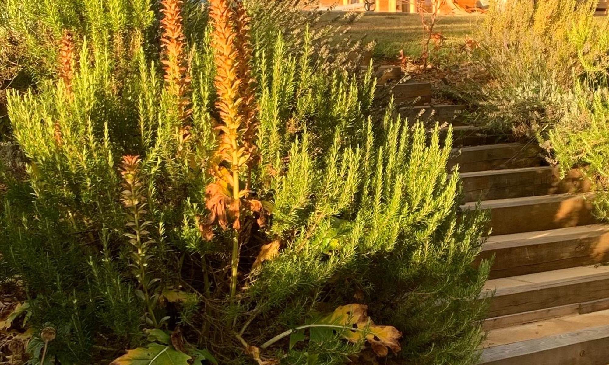 62ECA4D7-7DF2-4C14-AF8F-0DFF168643DF