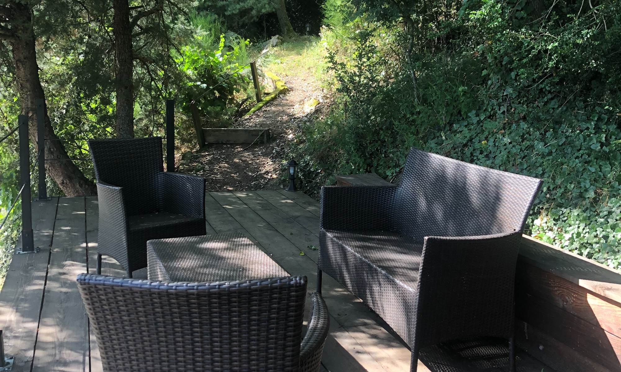 FC_20230802_0070 (1)