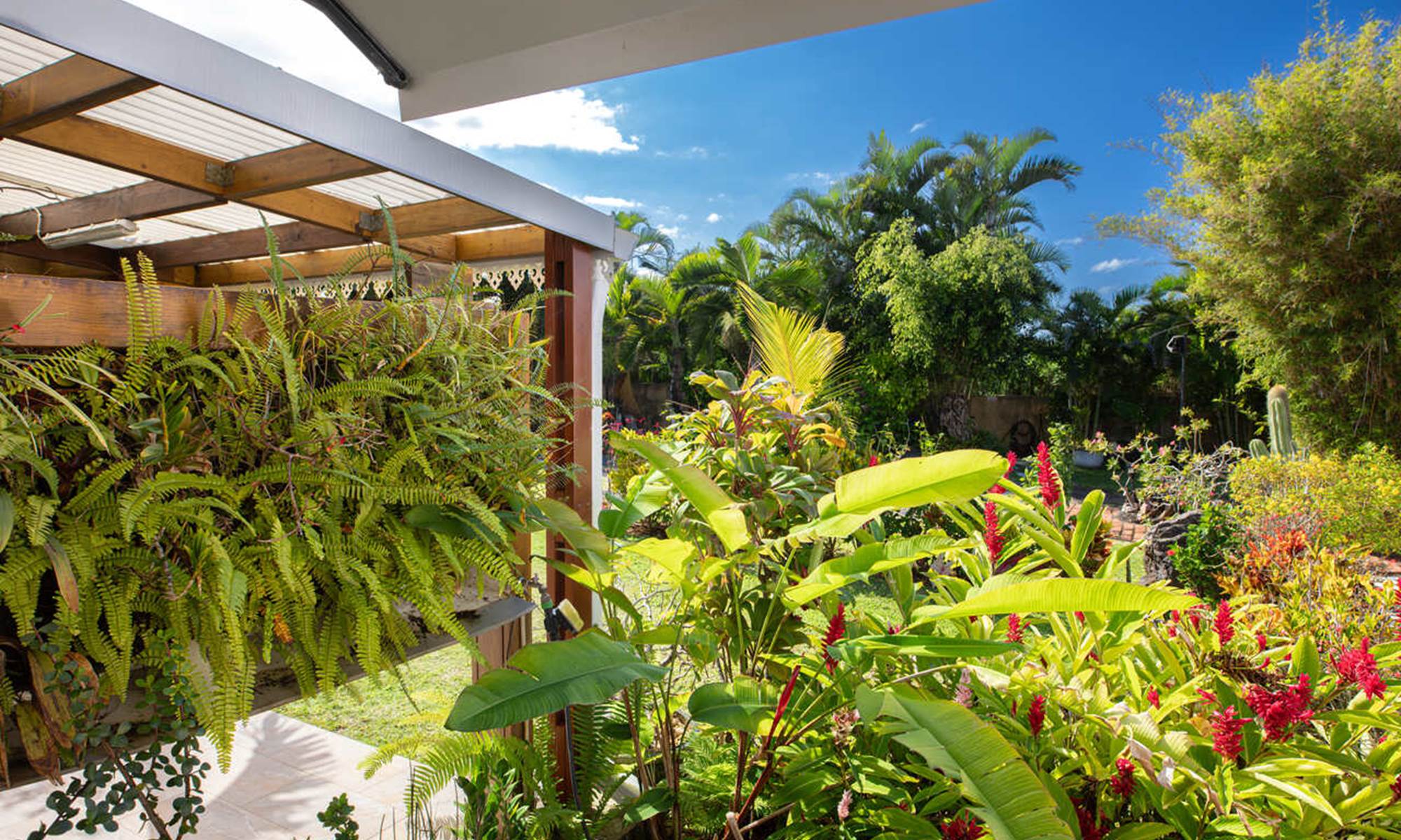 Vue depuis le salon-page