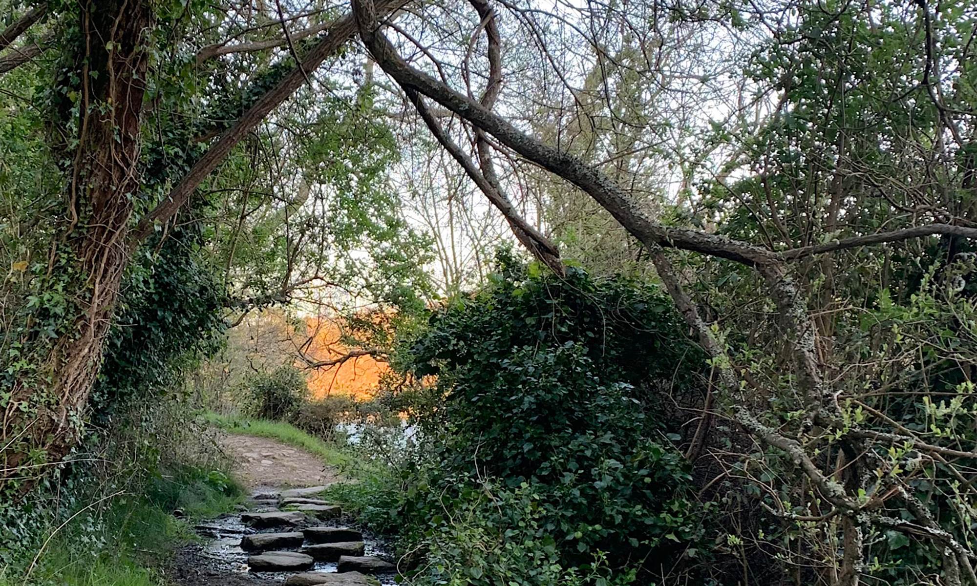 Chemin de balade-galerie