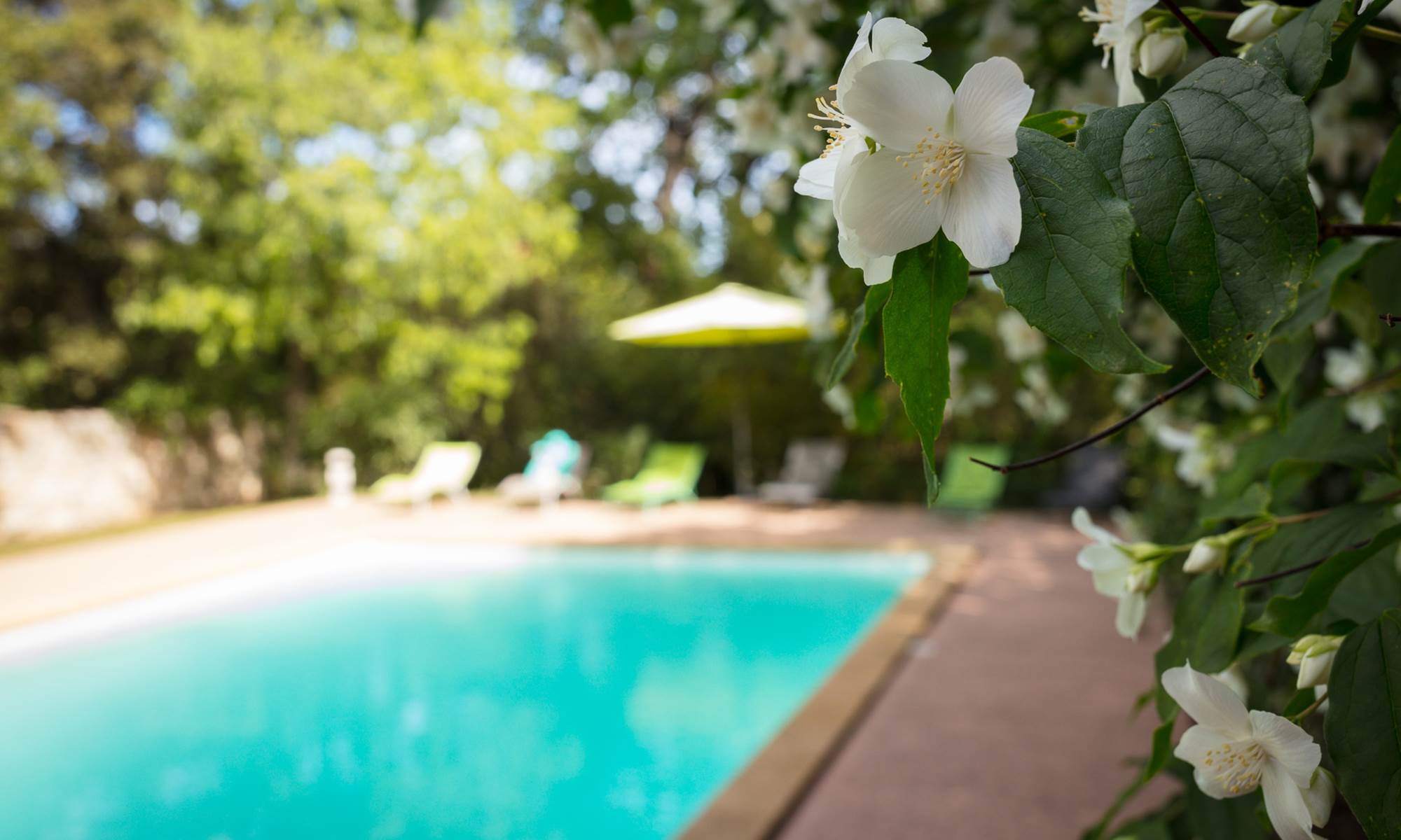 Mas des Sages chambres d'hôtes avec piscine