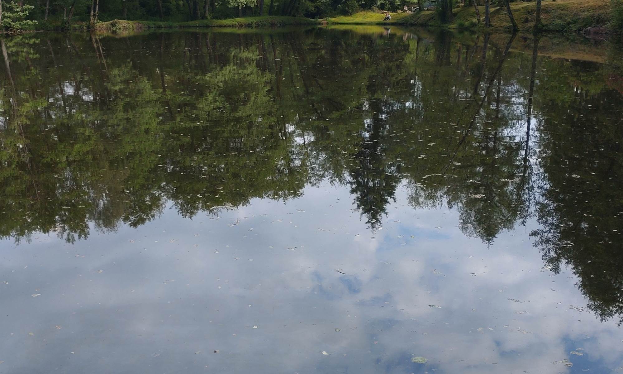 Etant privè à 7km du Moulin de Lavaugarde