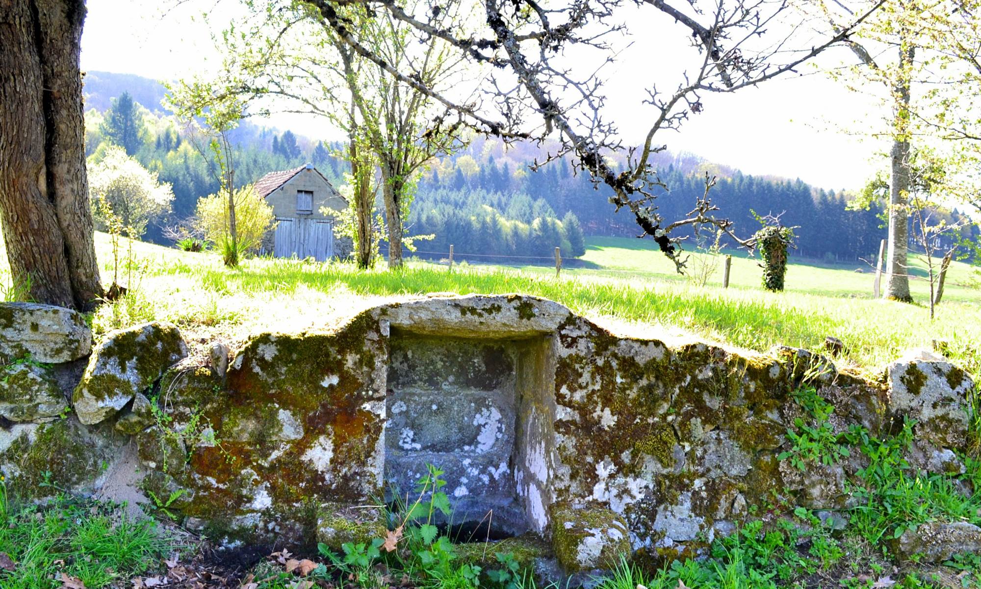 Gite le MAsgiral Fontaine-galerie