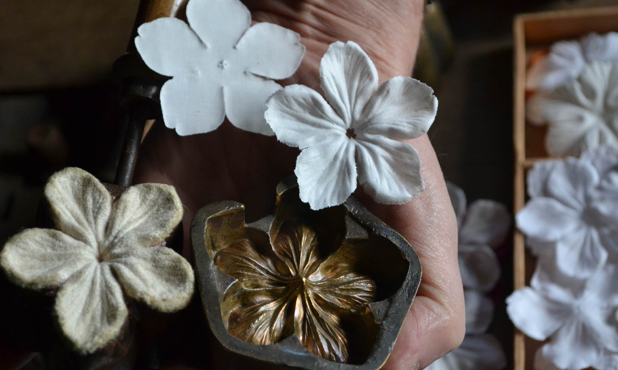 Outils ancestraux-galerie