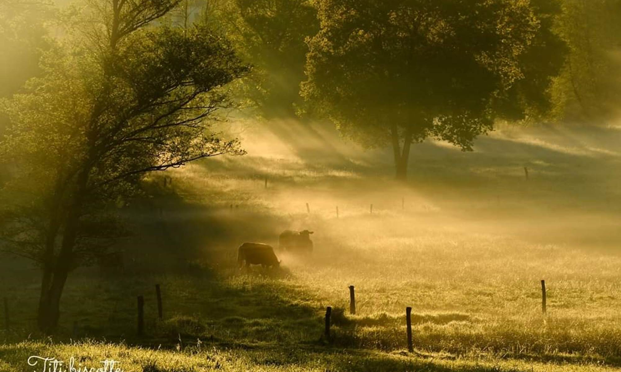 Gite le Masgiral Exterieur 2-galerie