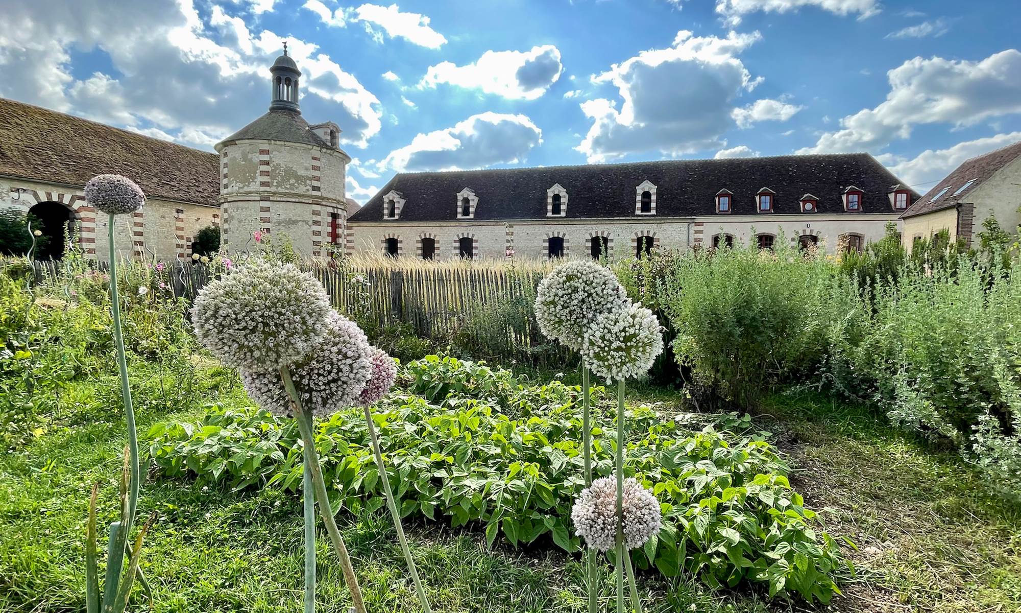 Au jardin potager-galerie