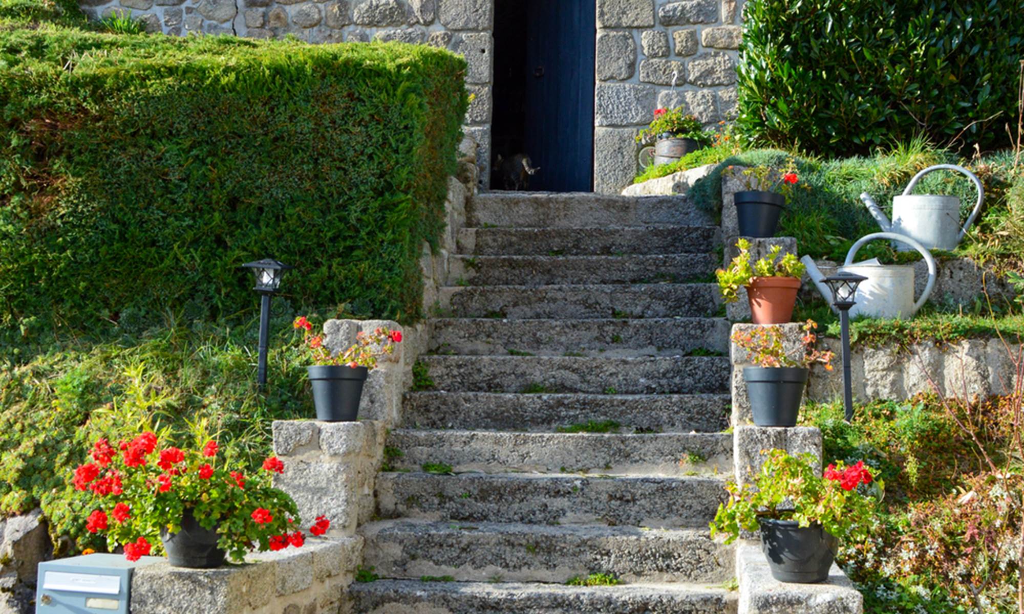 Gite la belle du clocher St pardoux d'arnet proche Crocq Terra Aventura