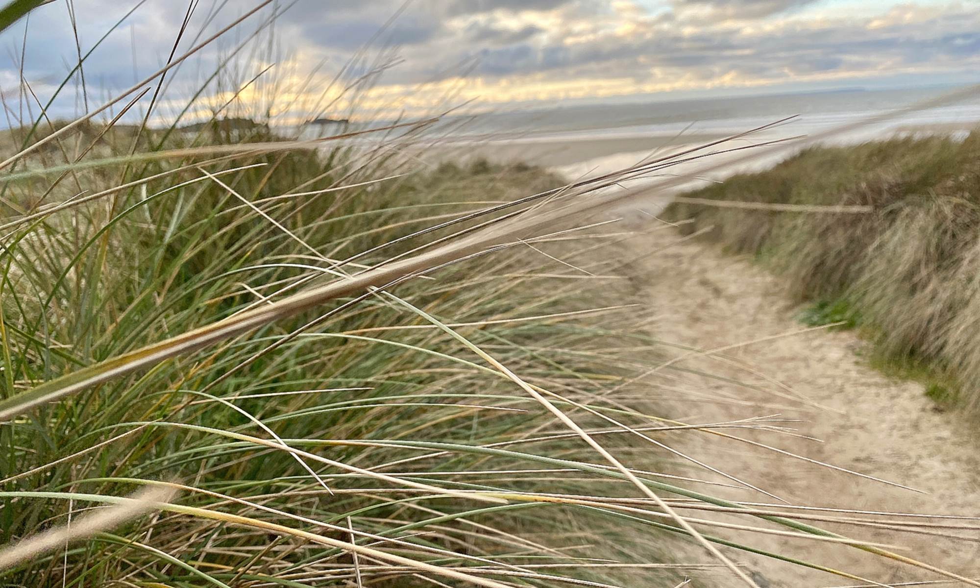 Et si nous allions à la plage ? Celle des Blancs Sablons, longue de 2,5 kms, est à 6 kms de La Grange Neuve