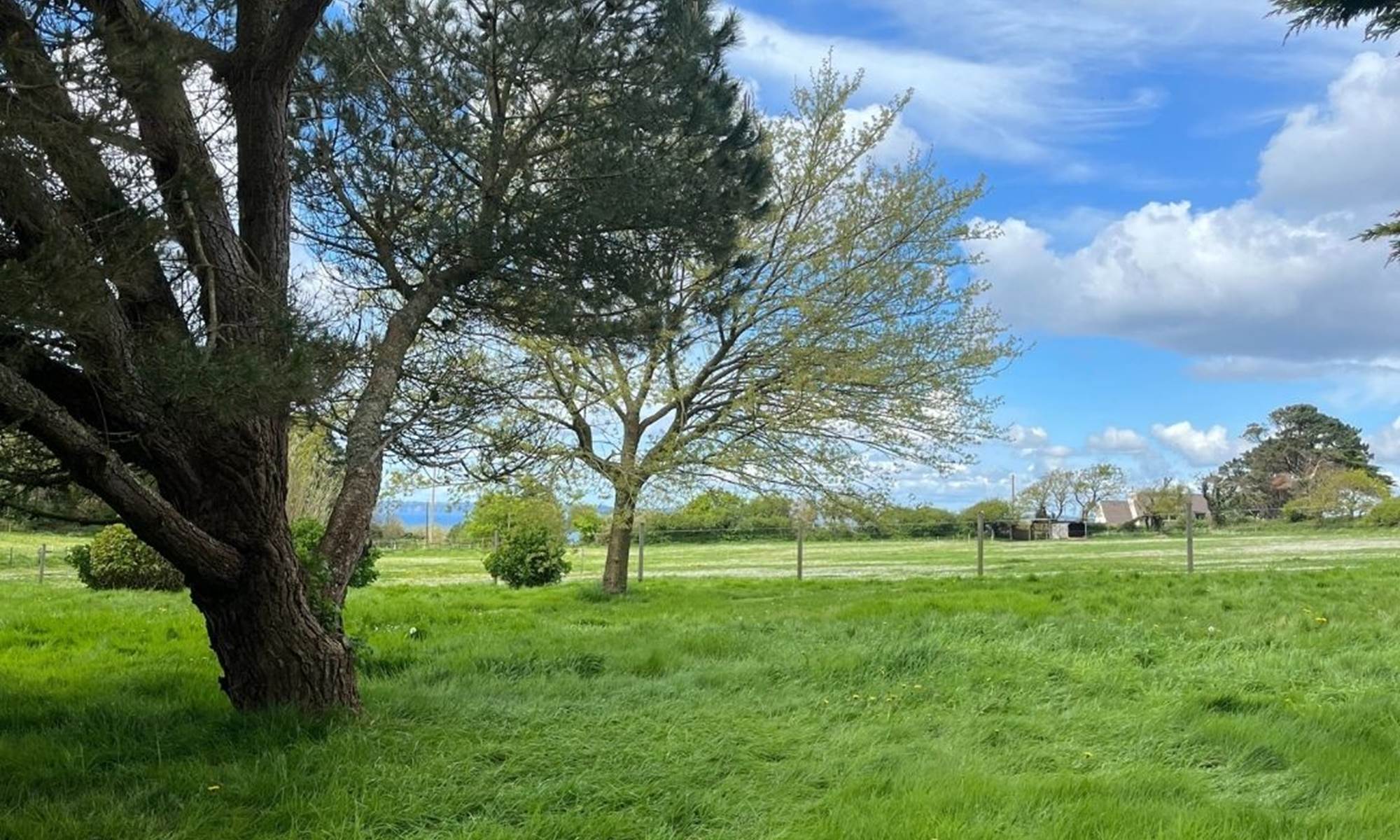 gîte de kergavan - pré du gite vue sur mer