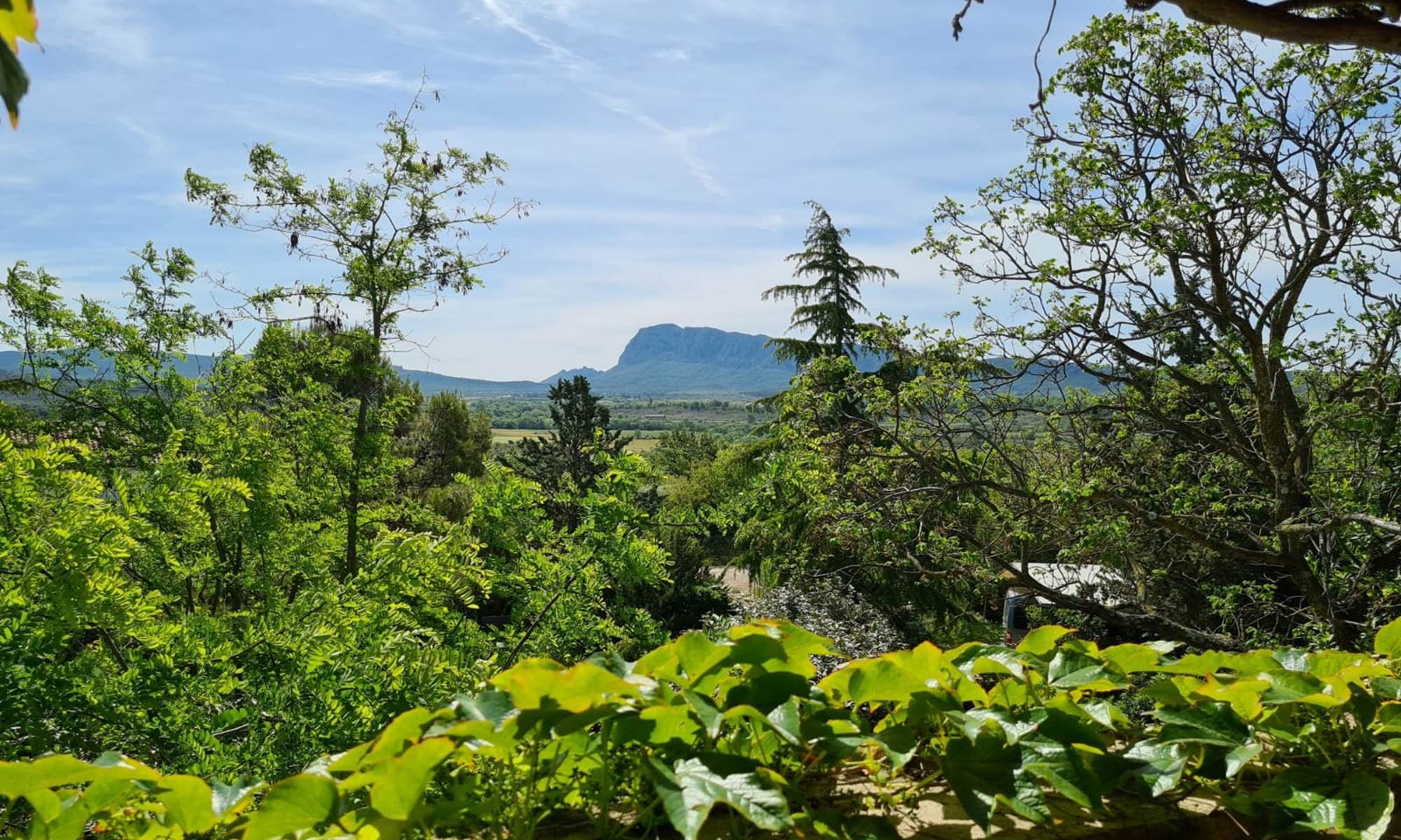 7b7a6a81-1065-455a-a11f-6d687ac93fc4-galerie