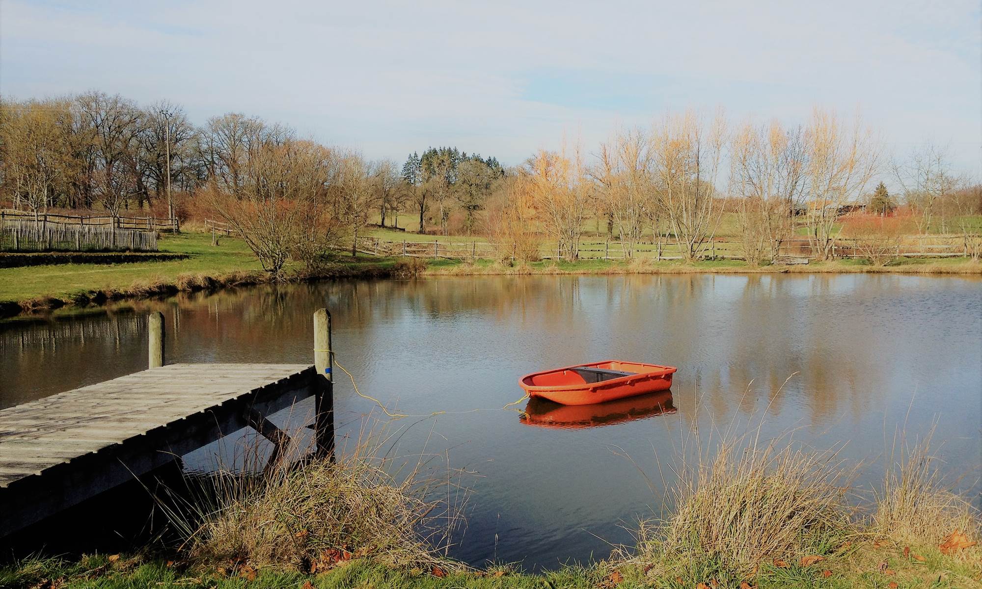 Le petit étang de pêche du Domaine de Louveraude