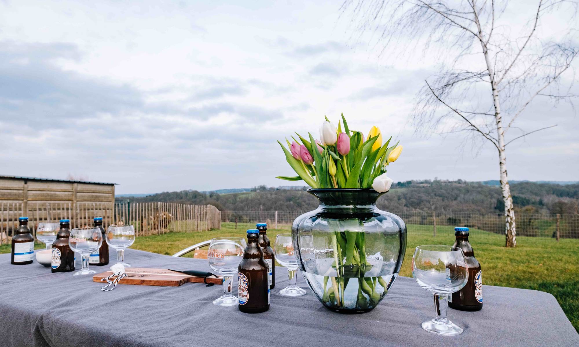 Gîte de Grise Pierre -