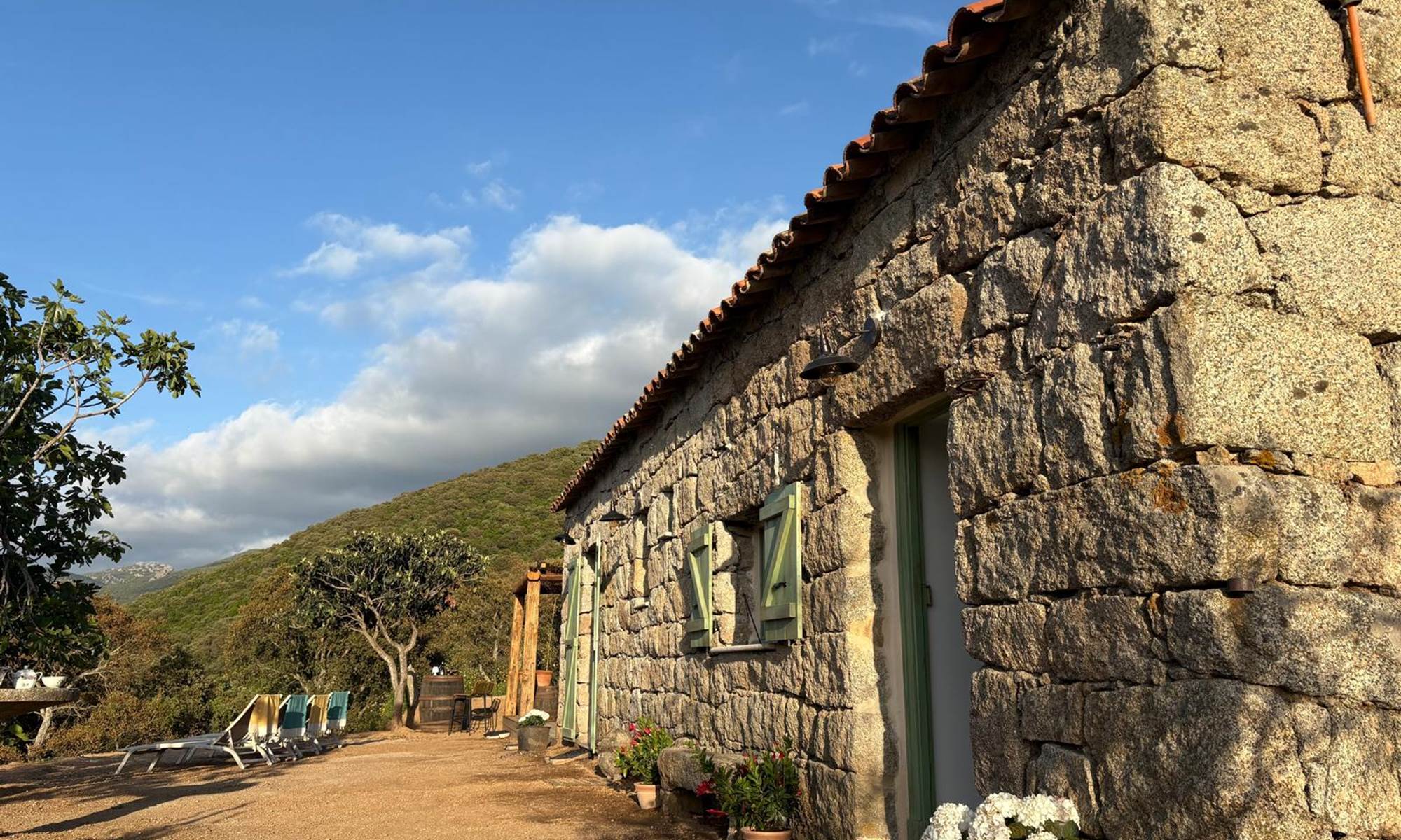 c962c1bc-5a52-4667-9f3a-2779fcd1b006