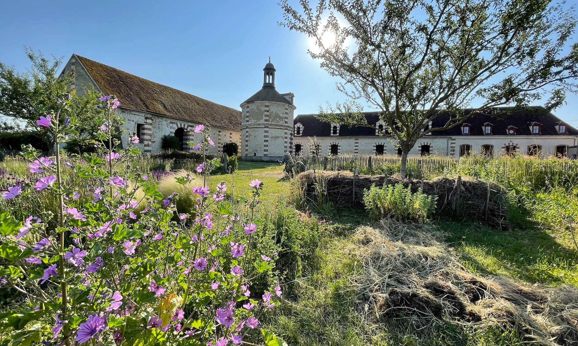 jardin du colombier vert-galerie