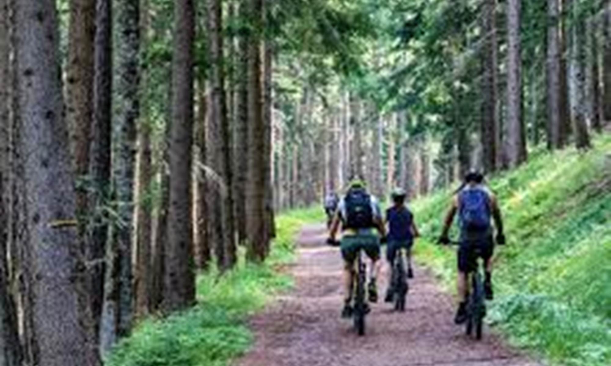 Gite le Masgiral Vtt 2-galerie