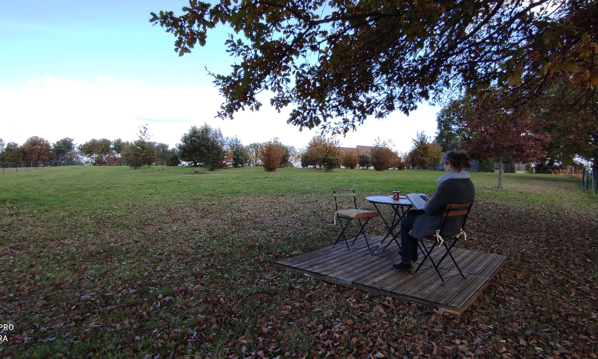 Espace lecture sous le vieux chêne-page
