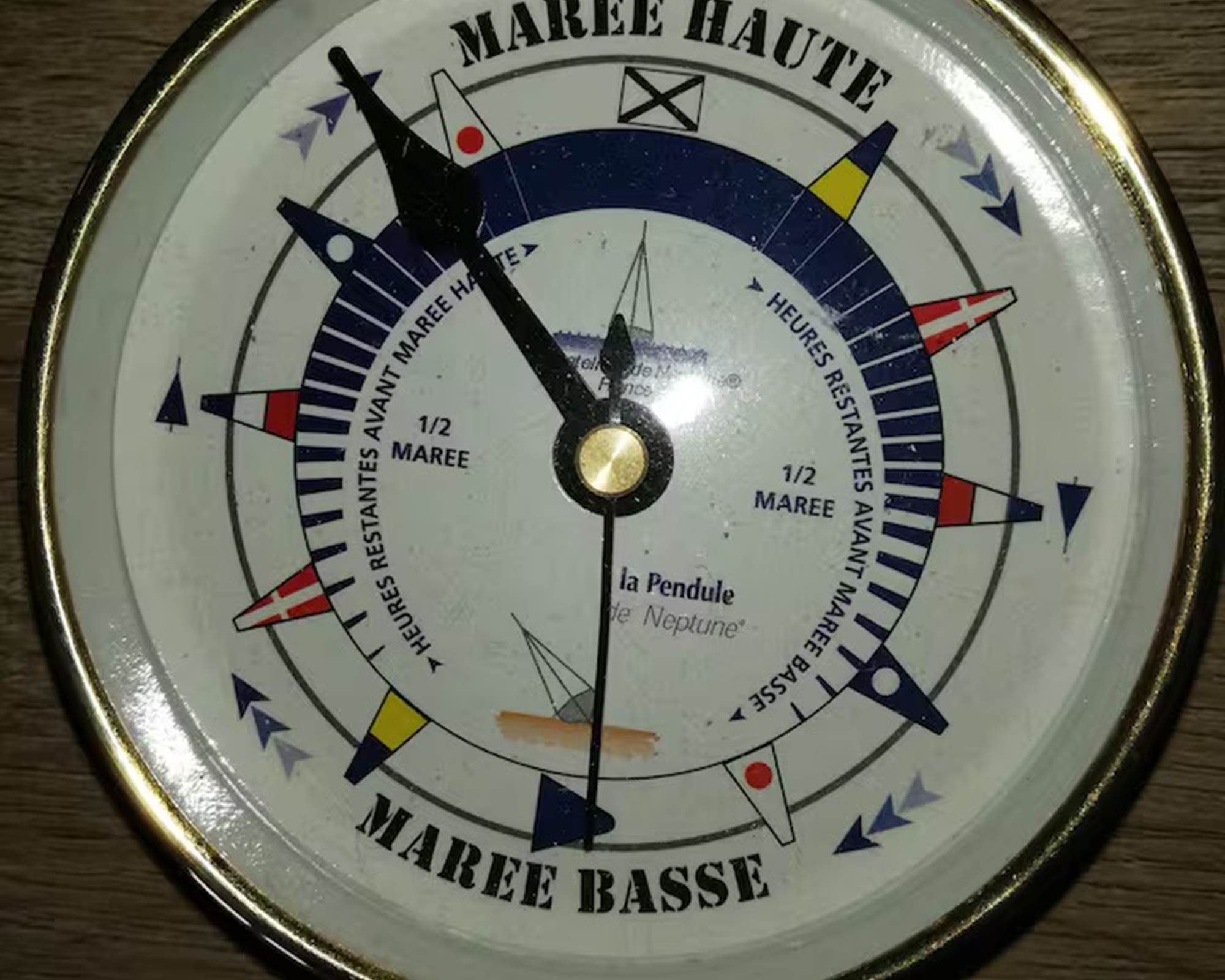 81ac06a9-0b7d-4f01-86cb-67f35312ceb3