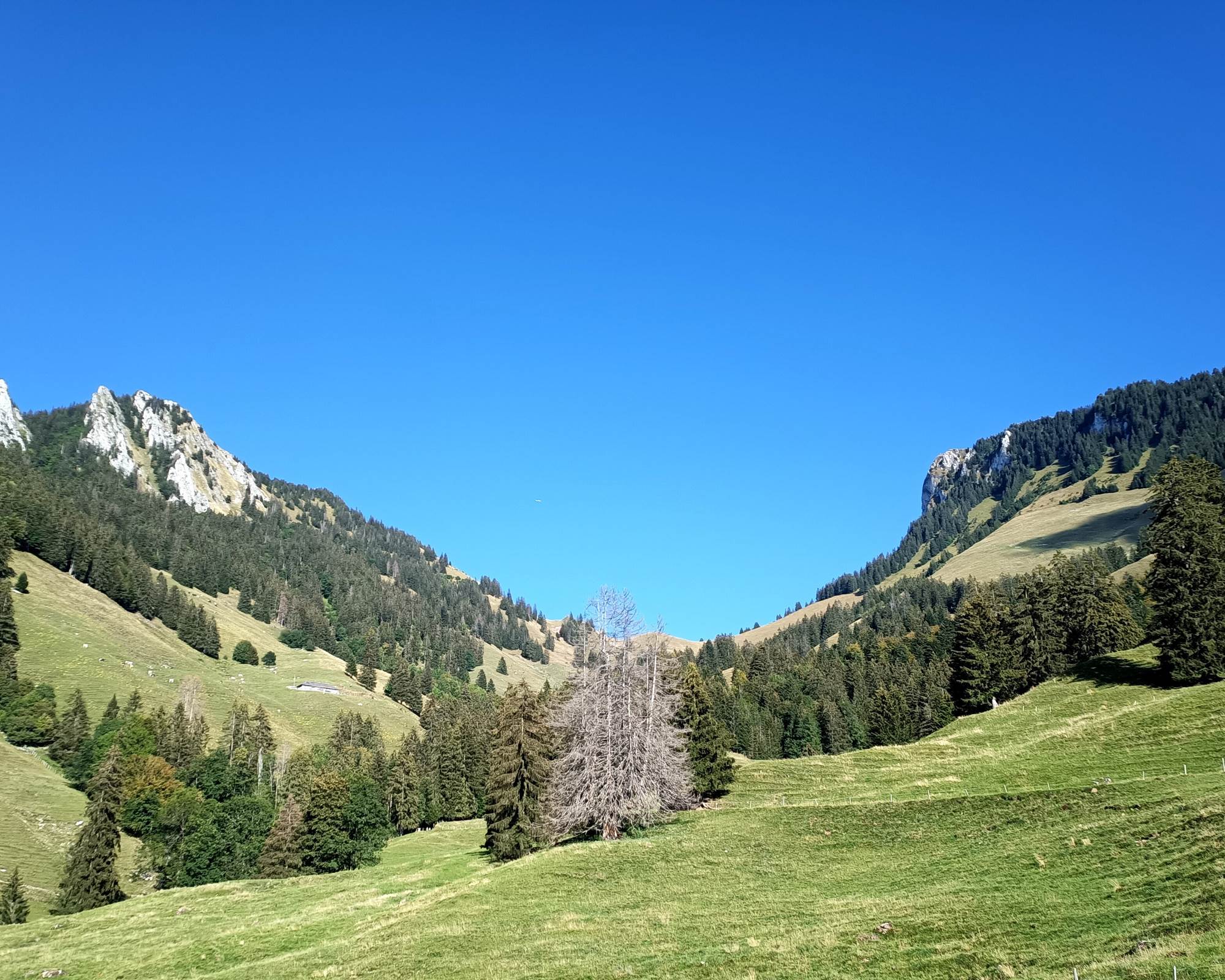 Randonnee au dessus du village