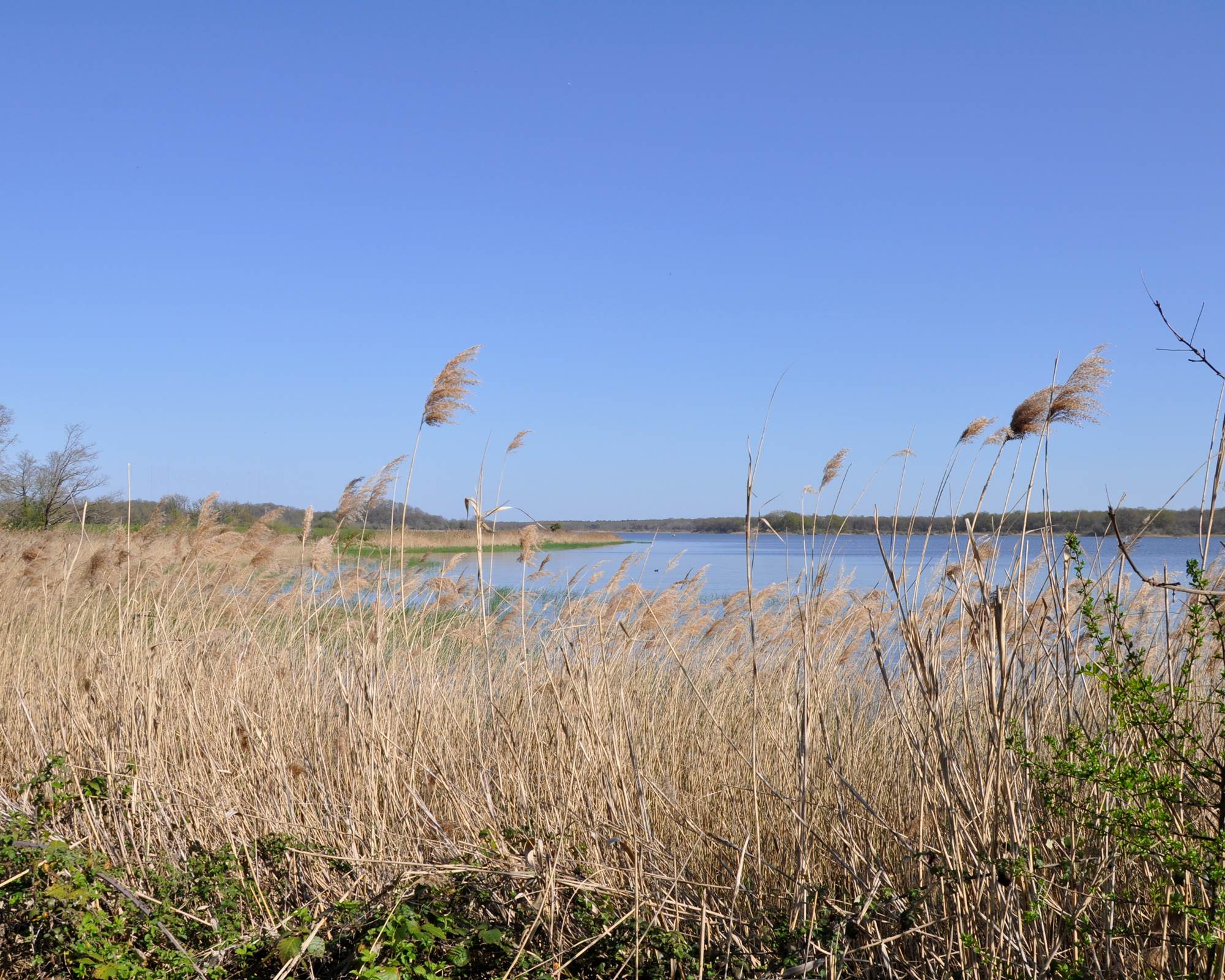 Etang de la Mer Rouge