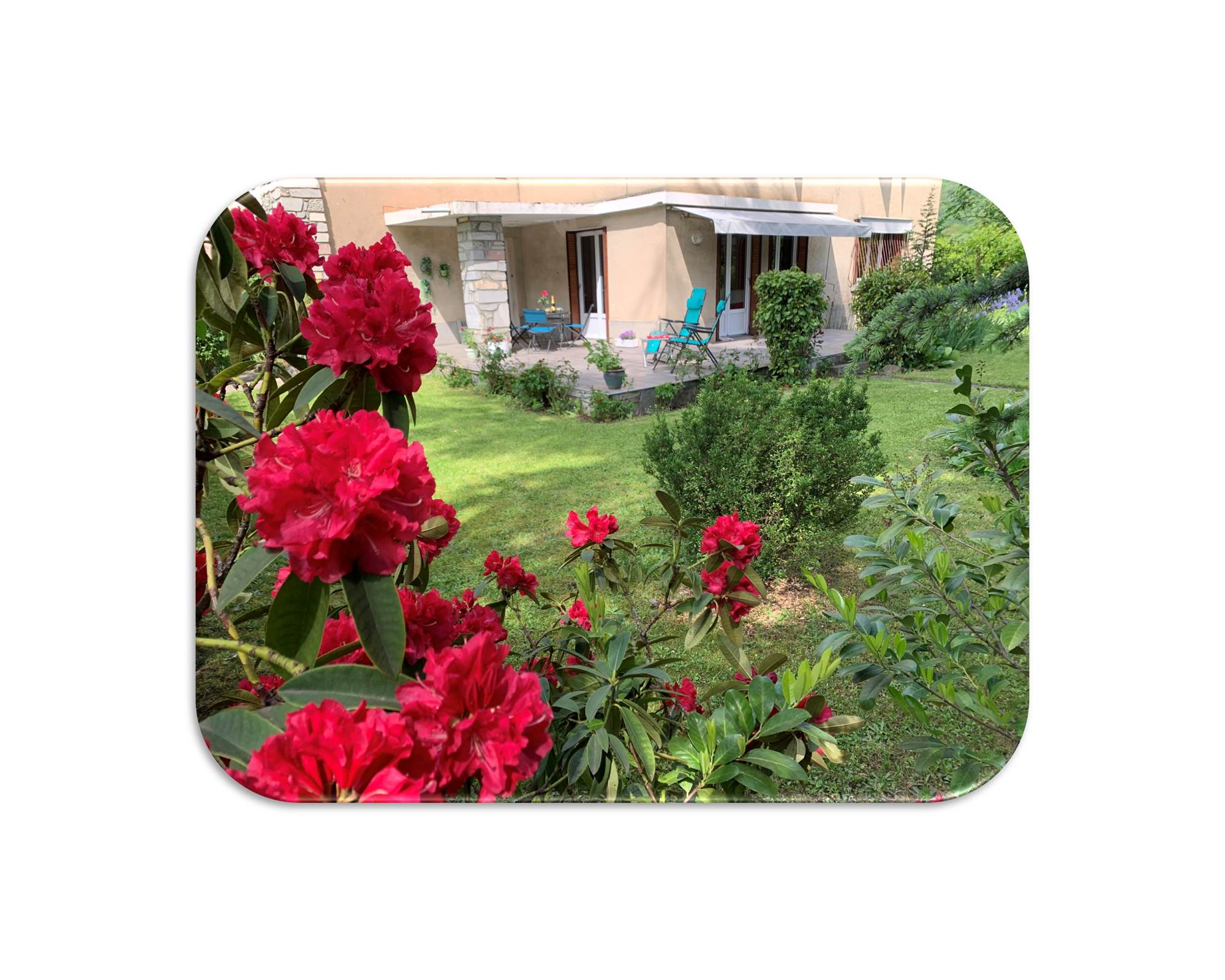 Vue exterieure3 fond blanc