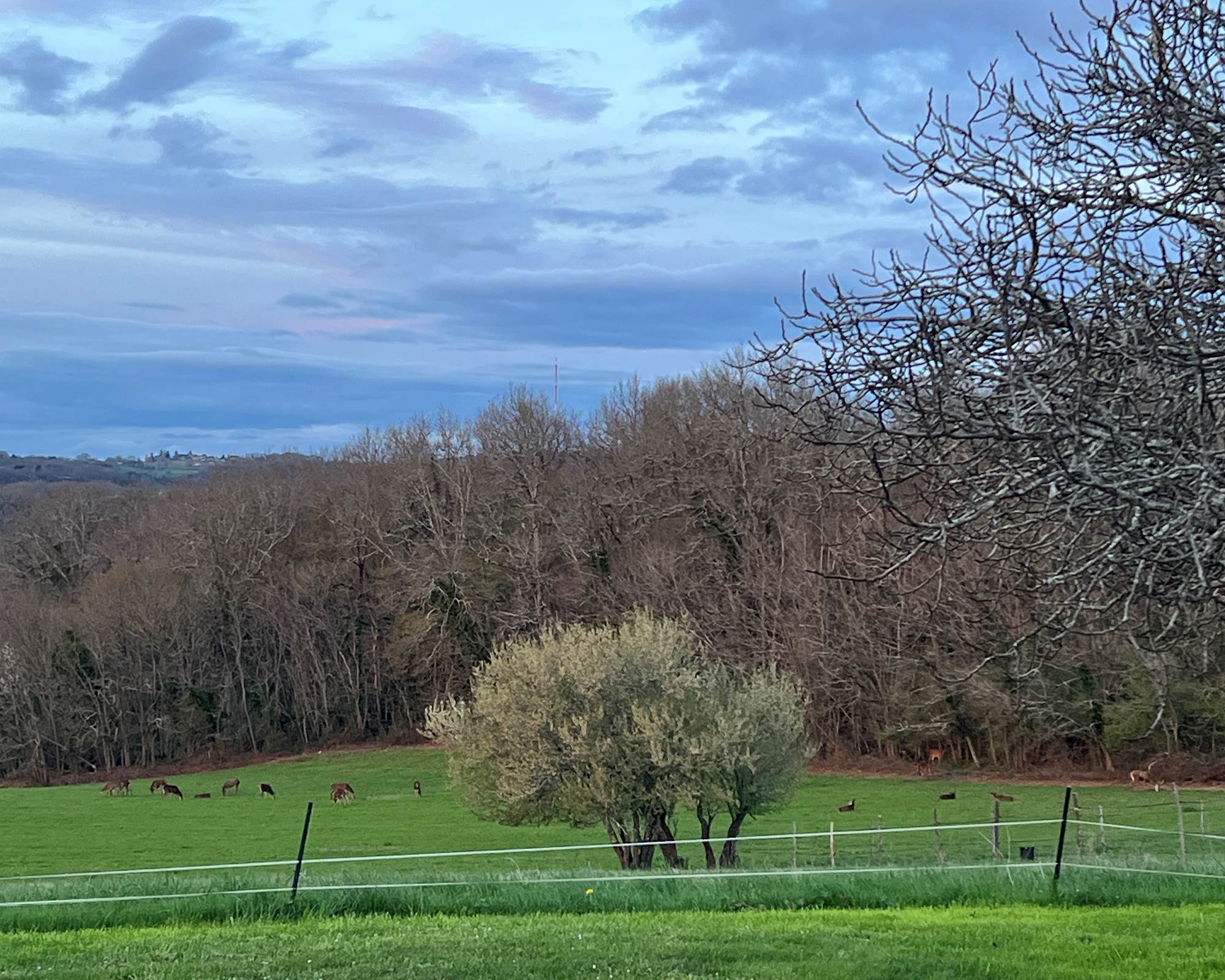 IMG_8065-photo-gallery