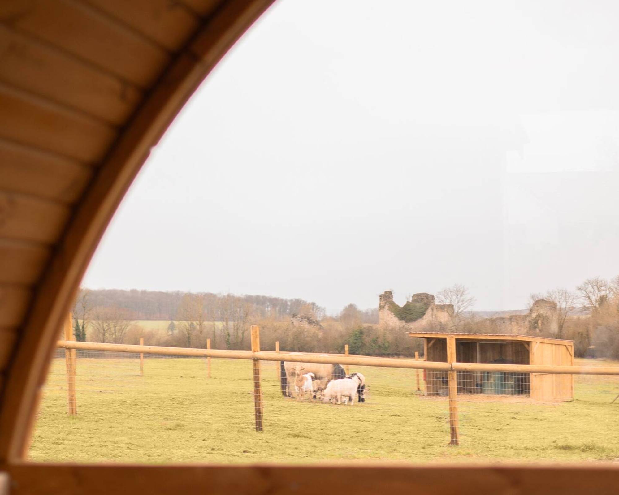 Au milieu de la nature