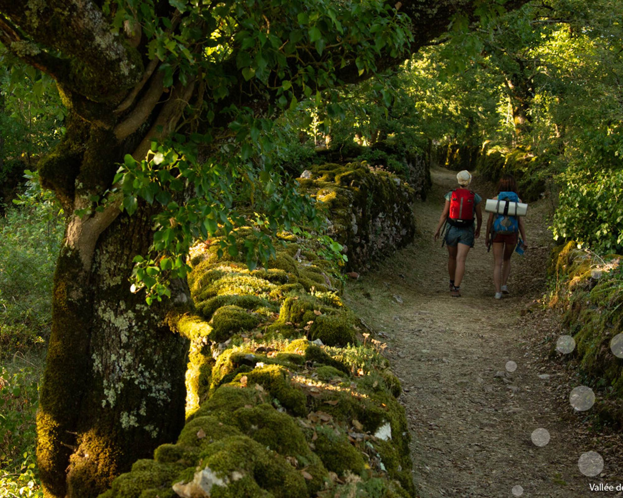 Randonnée sur les sentiers du Causse @MalikaTurin