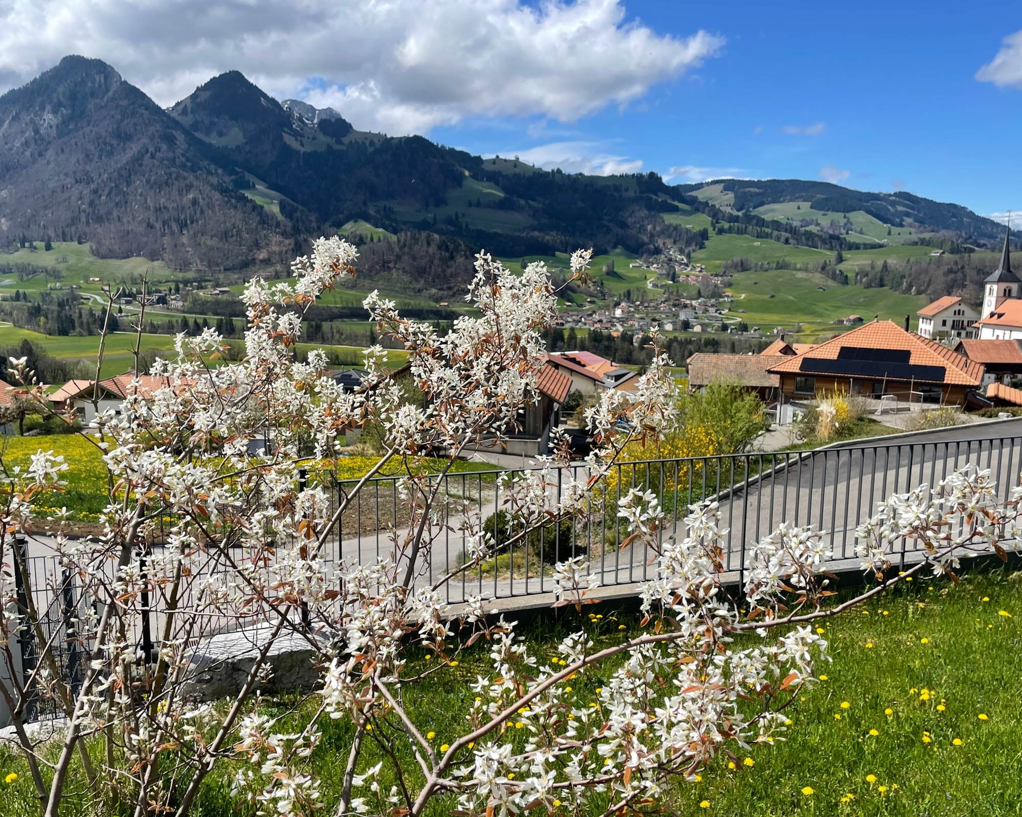Le jardin et l'église