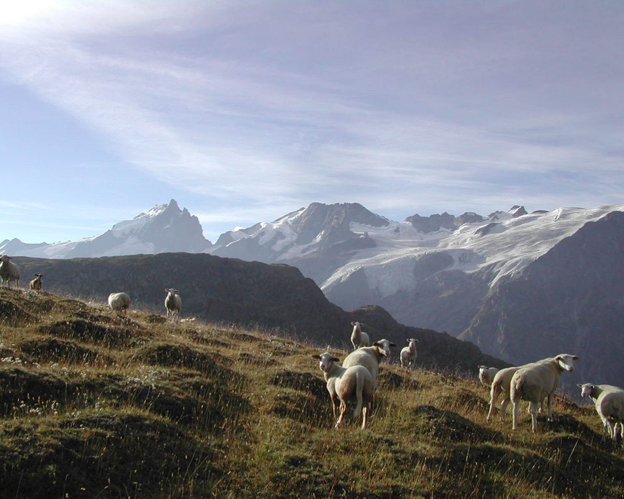 Vers le Plateau d'Emparis 2450 m.