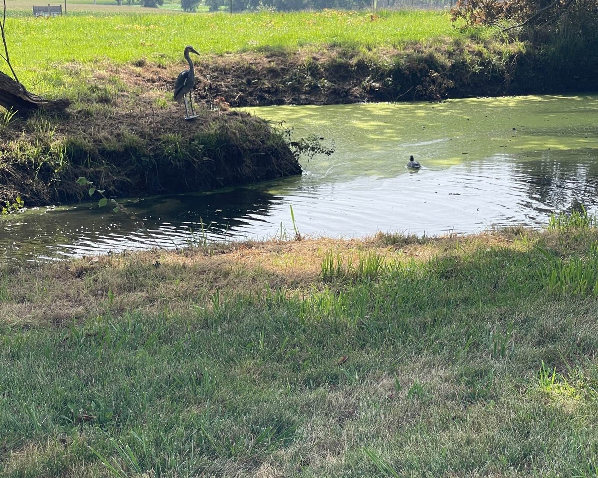 MOUNDEOU-location-gîte-Piscine-privée-Location-de-vacances-à-Madiran-St-Lanne-mare-photo-gallery
