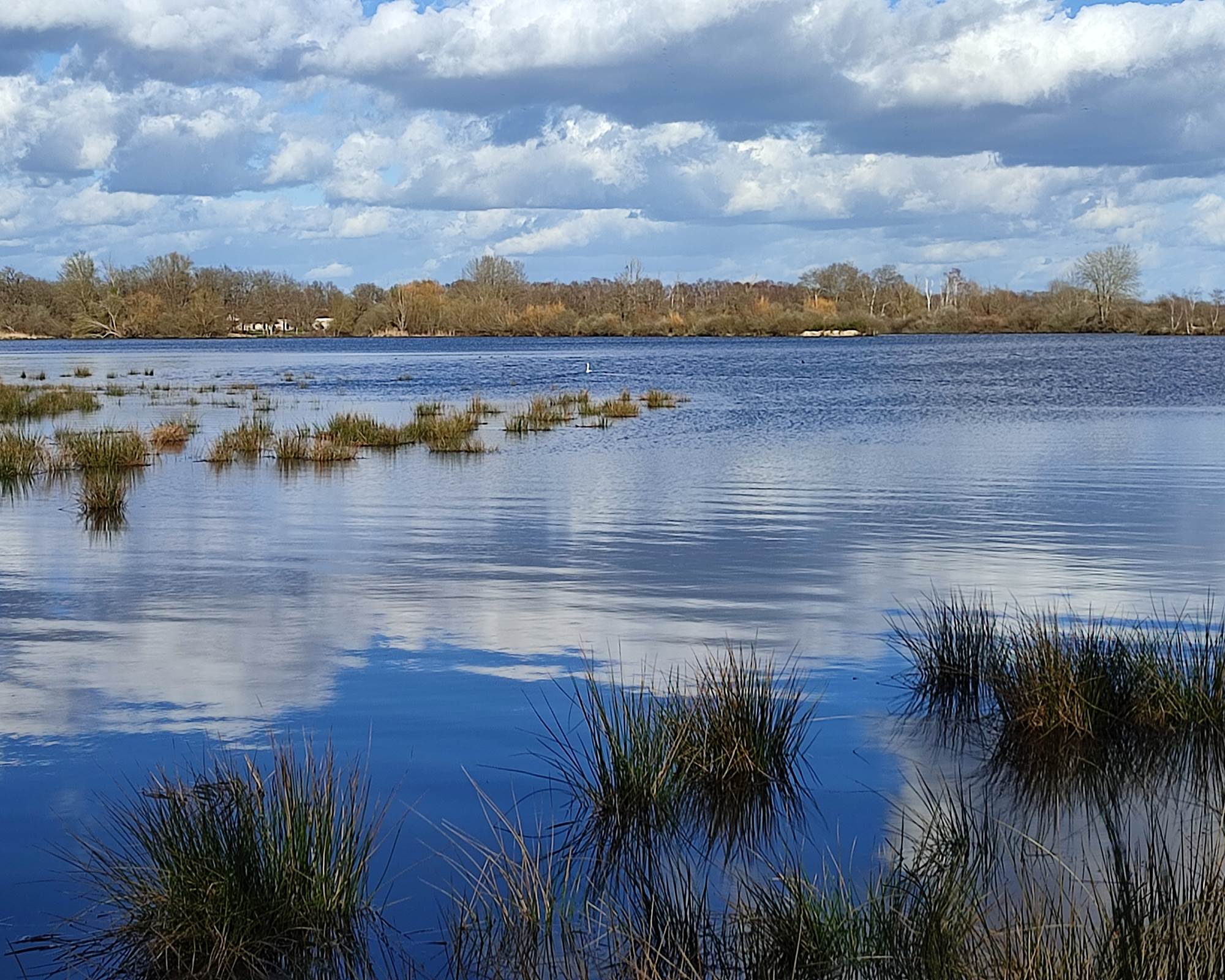 Etang de Brenne