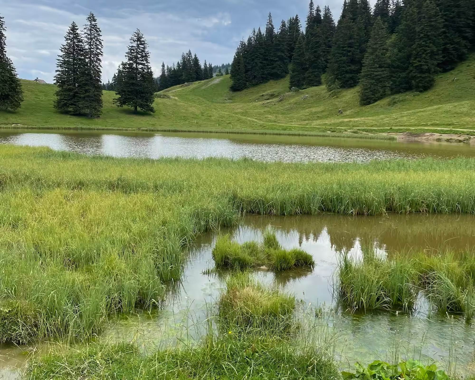 79759081-6a0a-4124-ad69-4f9213e2a6de