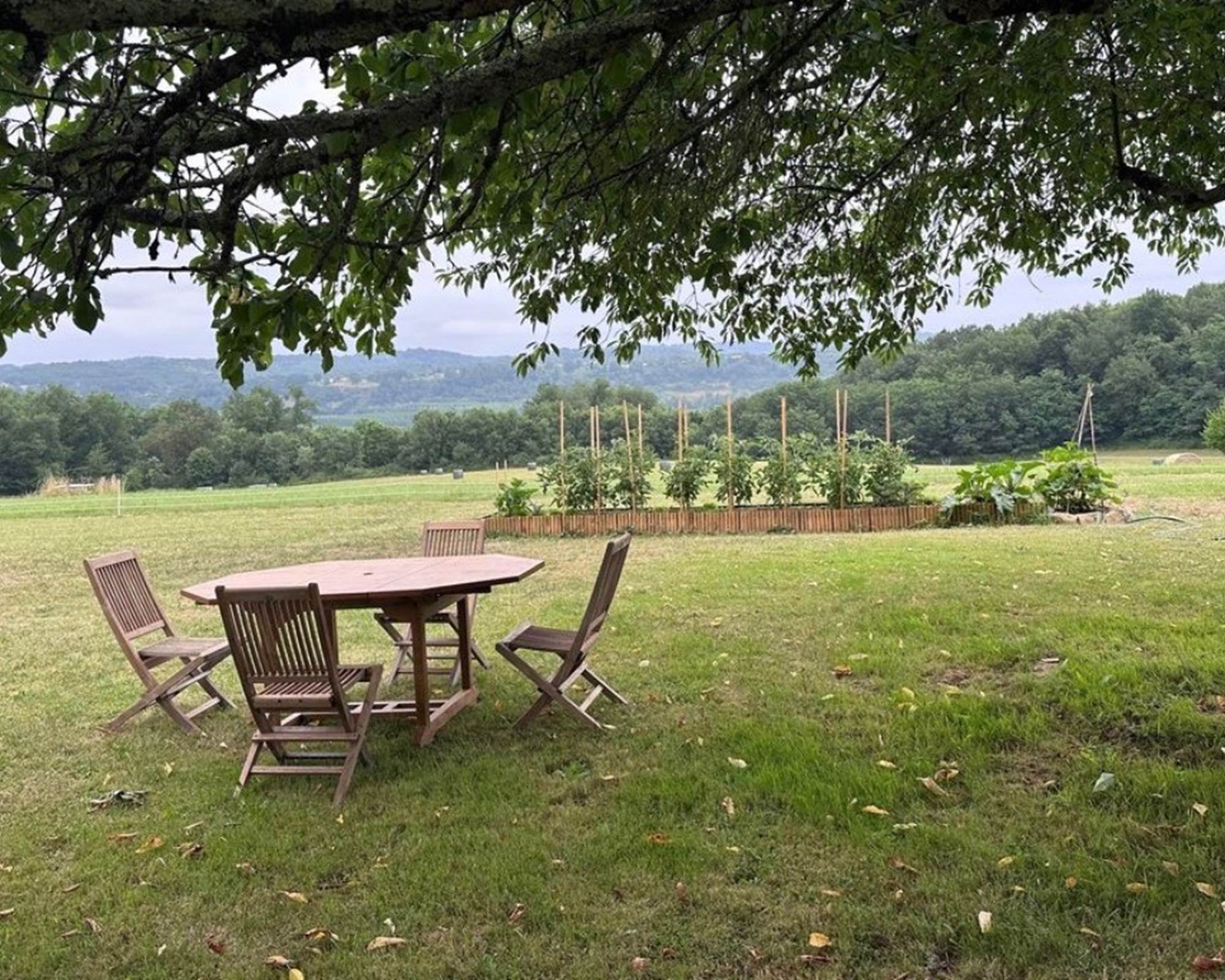 IMG_1031-photo-gallery