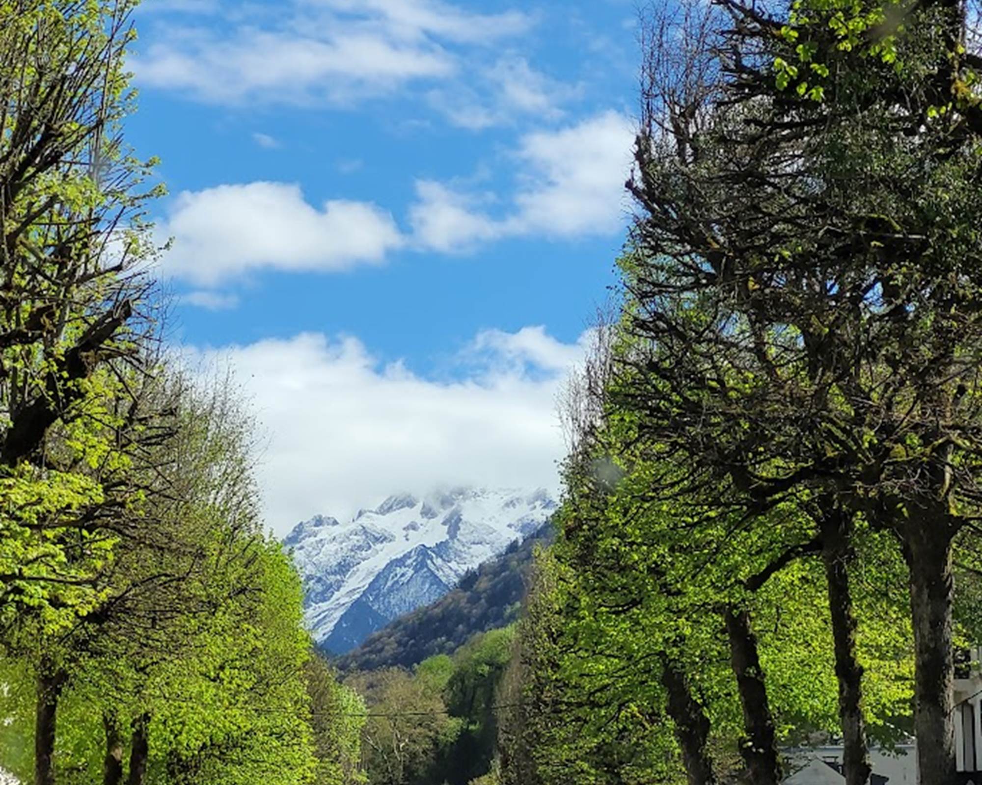 Allée principale Luchon