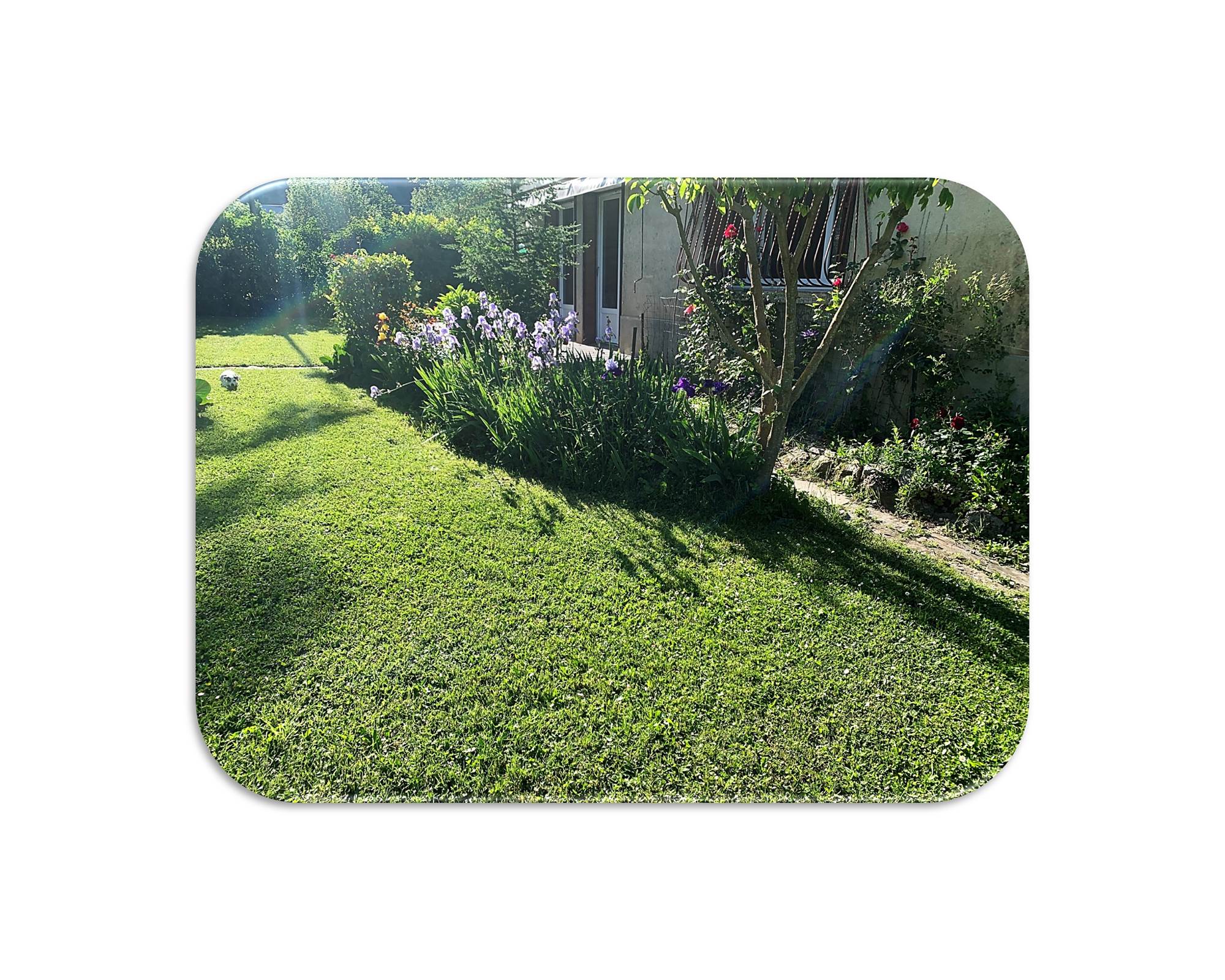 Terrasse Iris fond blanc