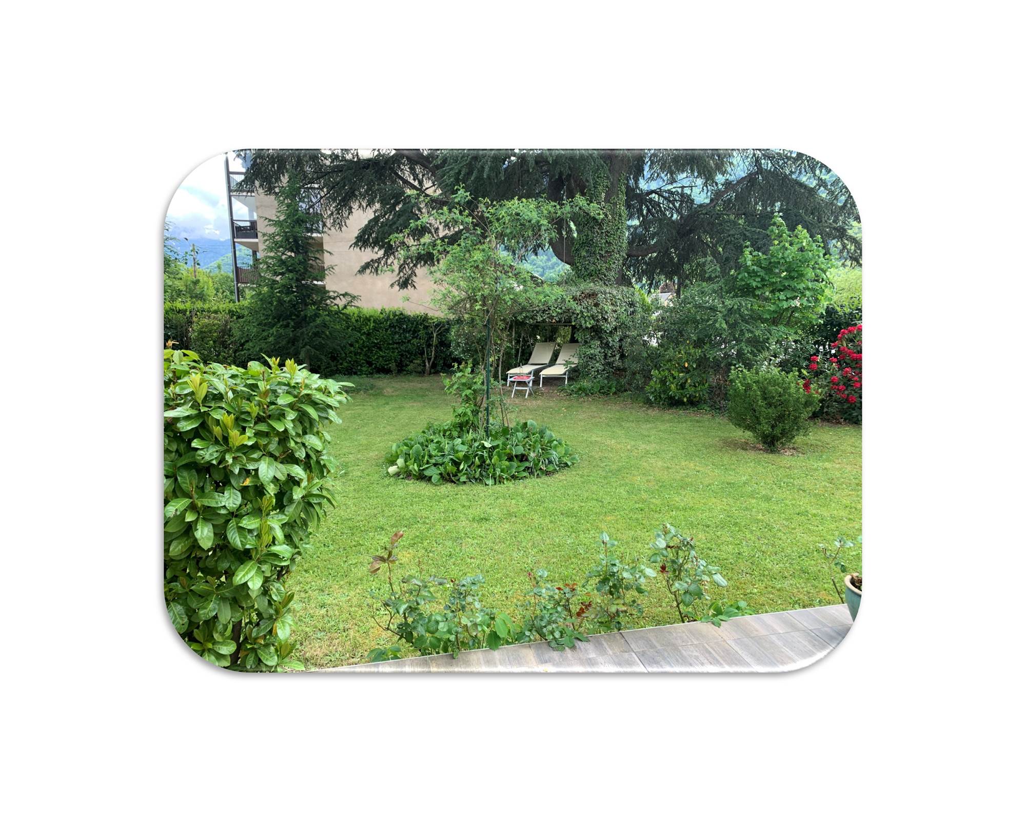 Jardin2 fond blanc