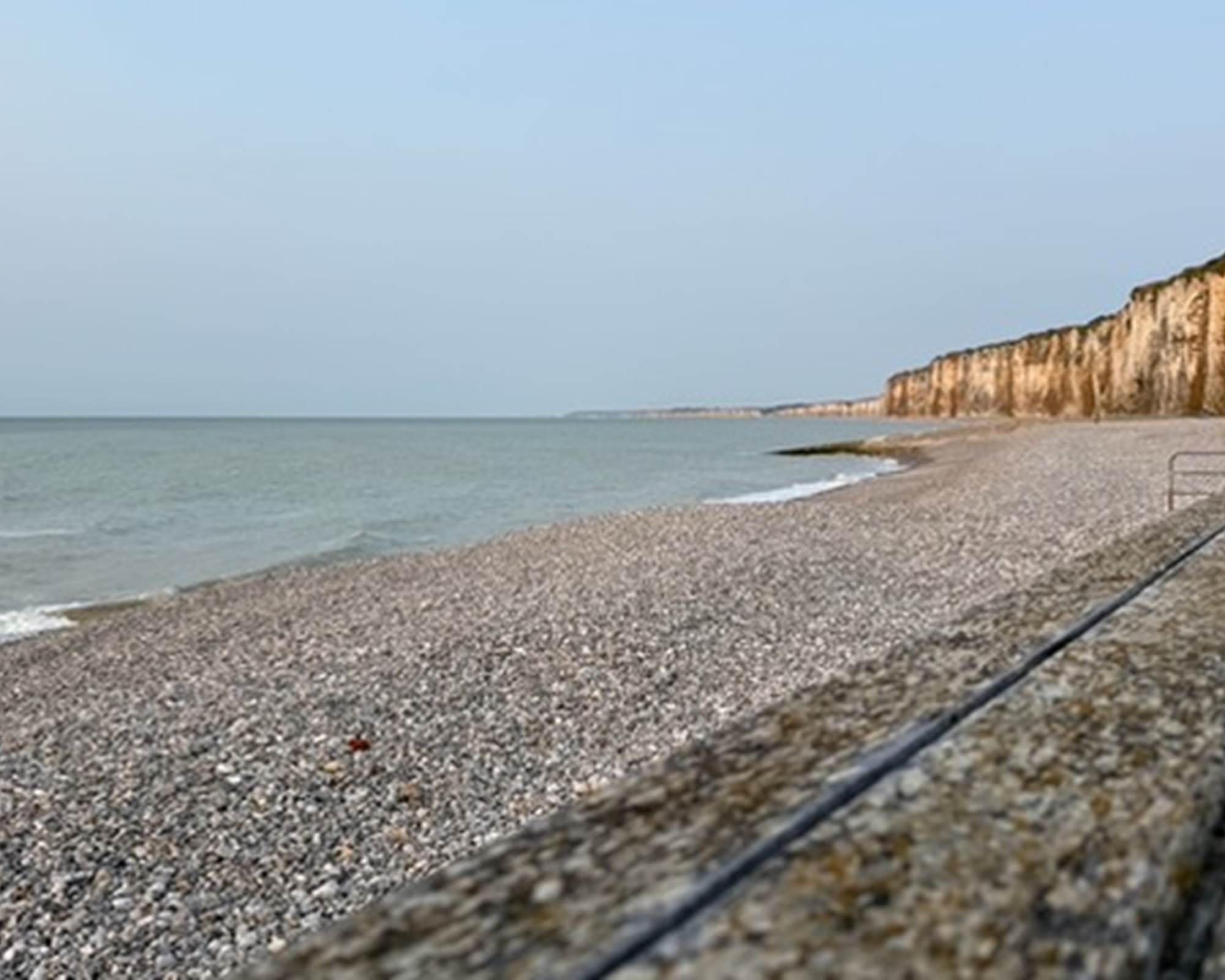 8E0447AE-EFDC-4C56-97EE-0AEAEE31936F_1_201_a