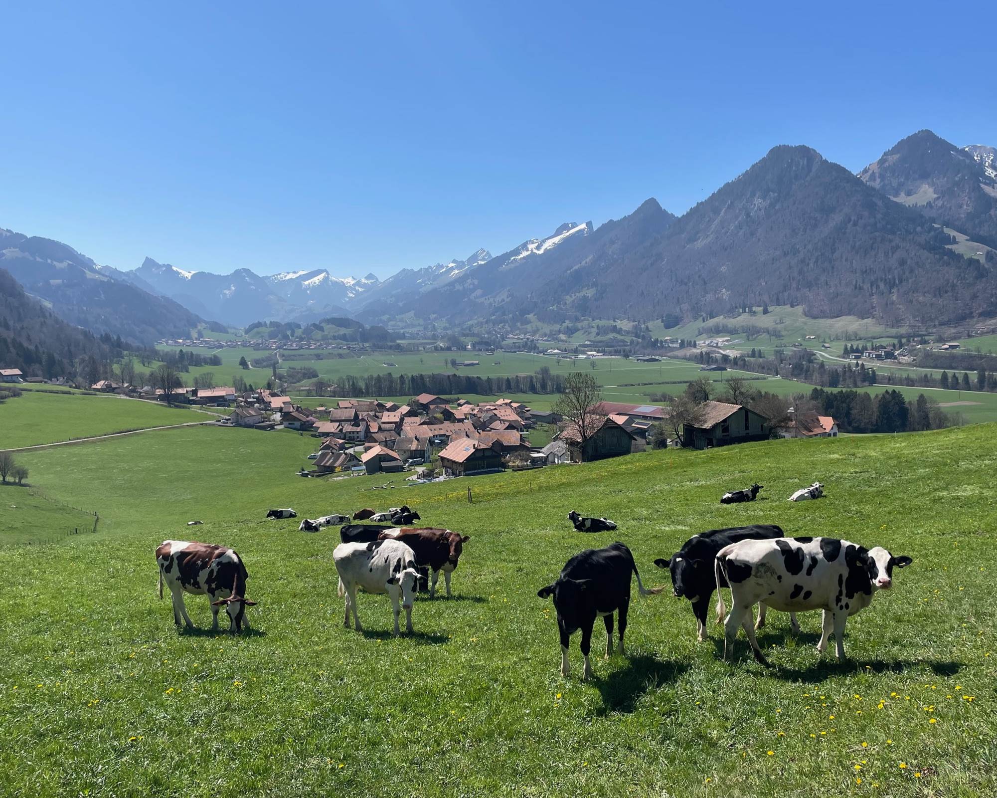 Vue au-dessus de la maison