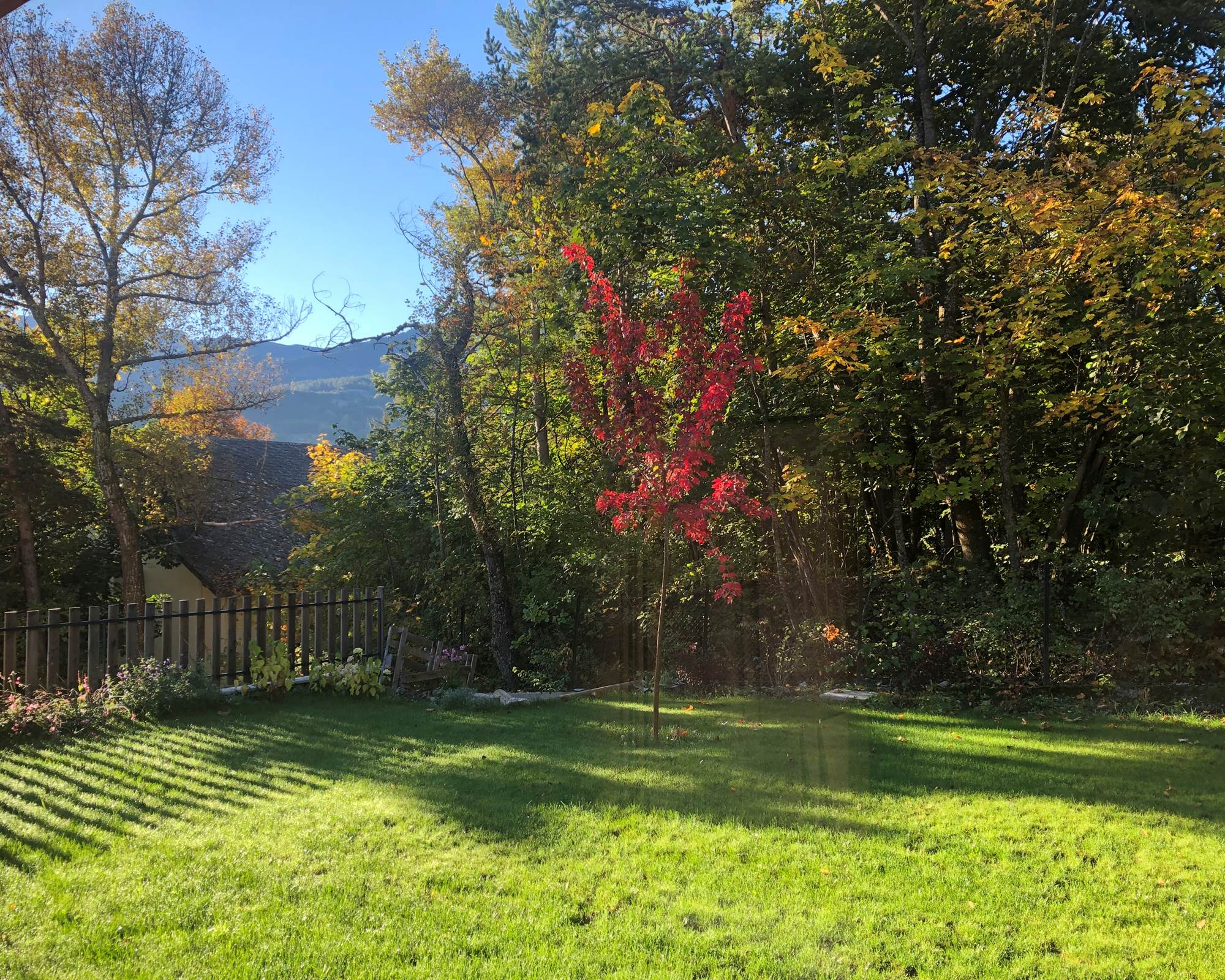 tempImage9y0ioU-photo-gallery